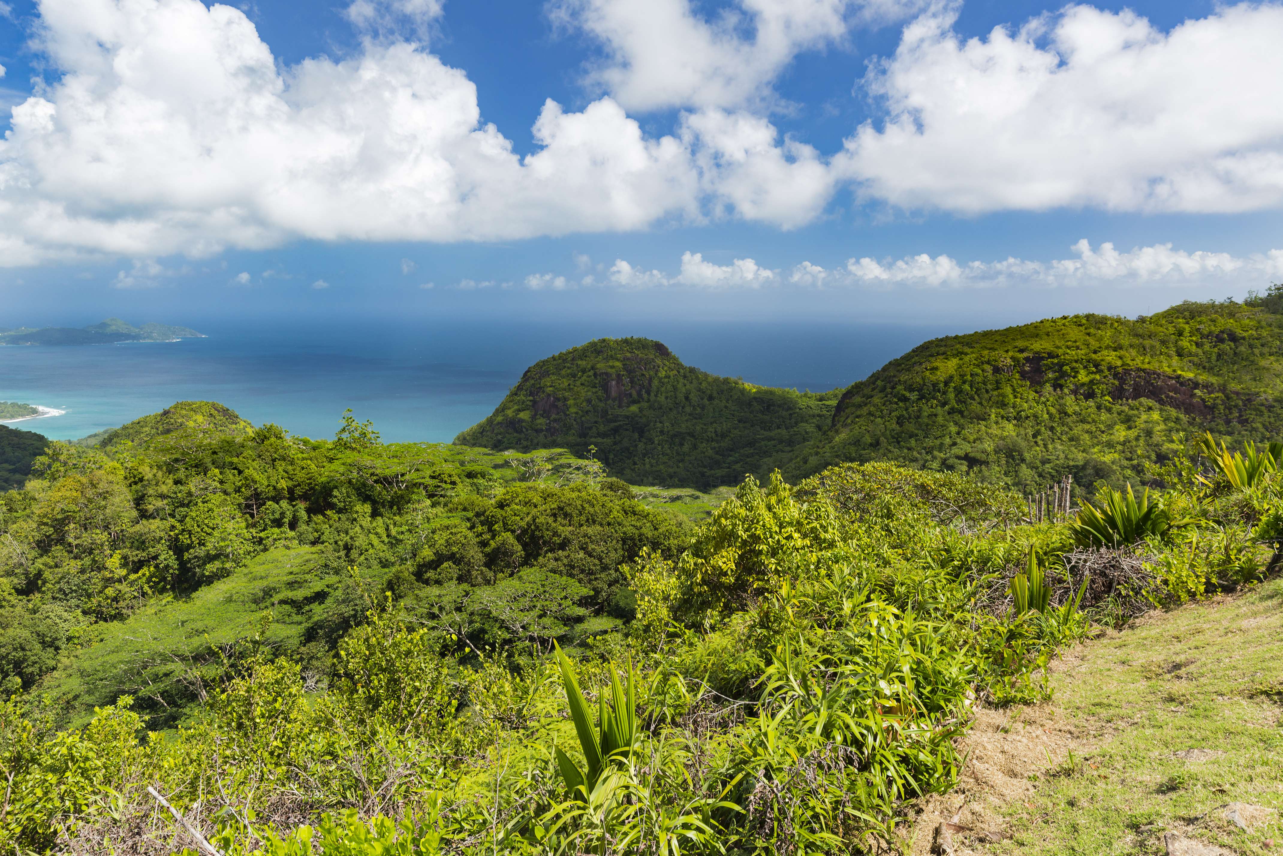 Explore the Famous Mission Lodge Lookout