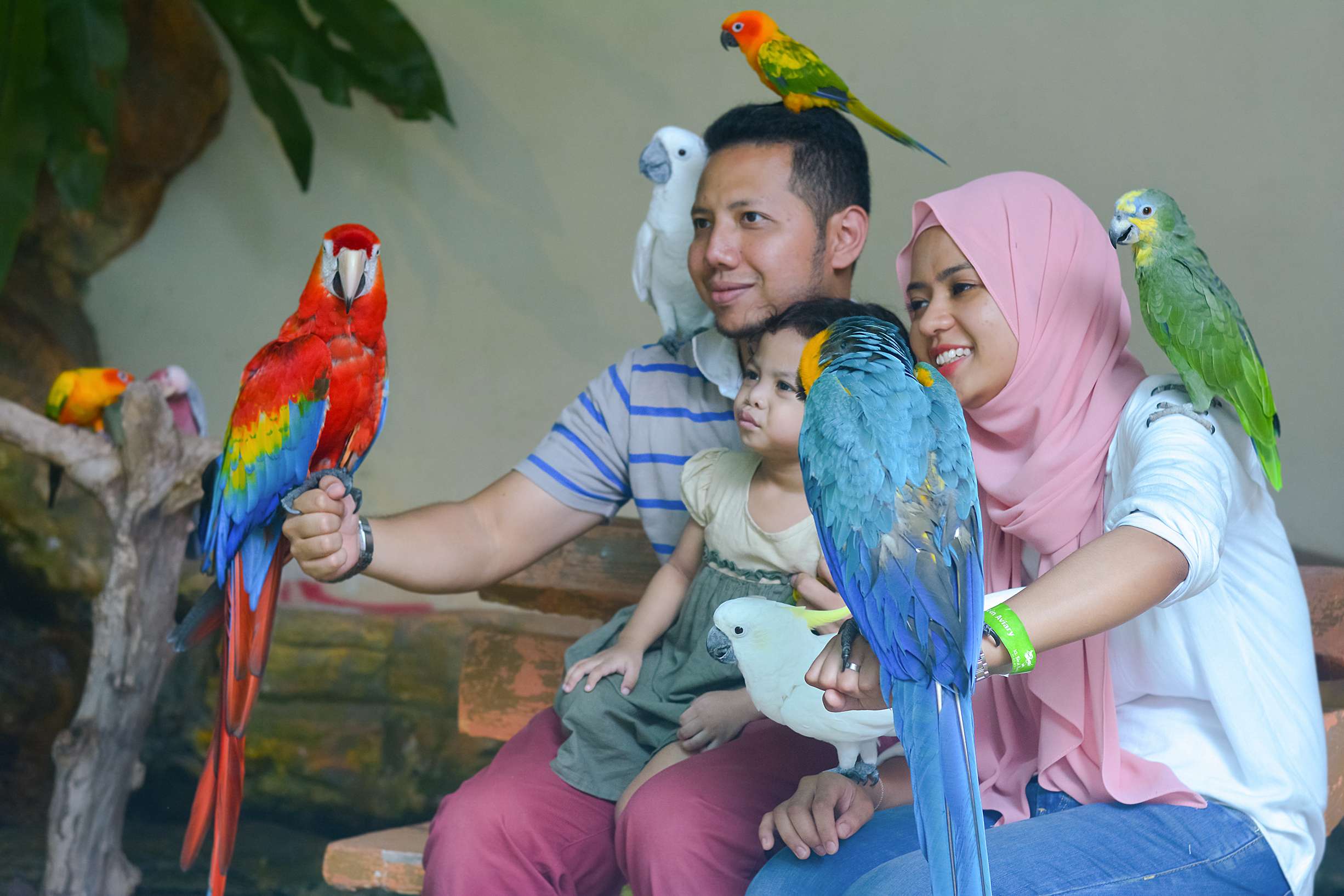 Discover Kuala Lumpur Bird Park
