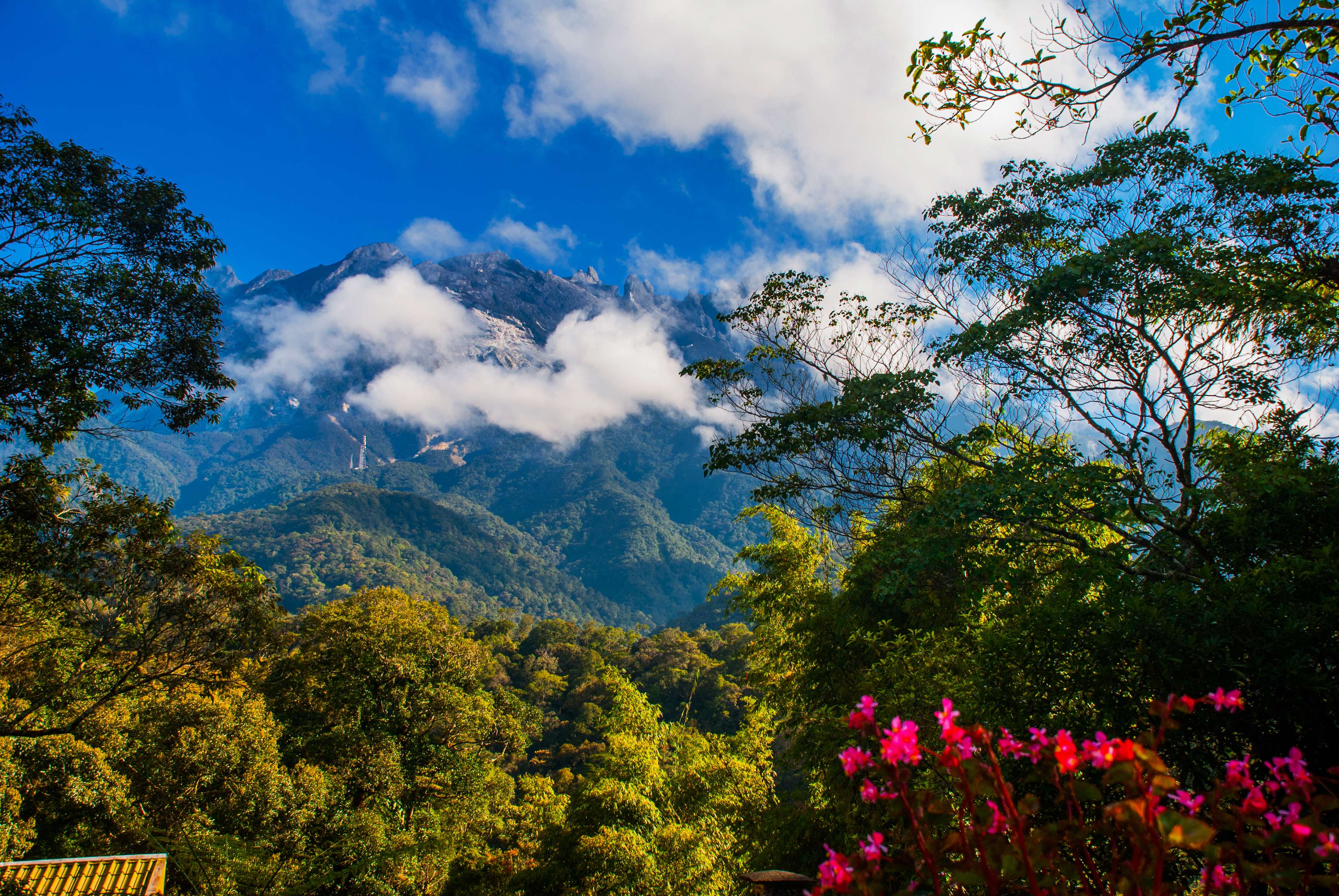 Explore Kinabalu National Park