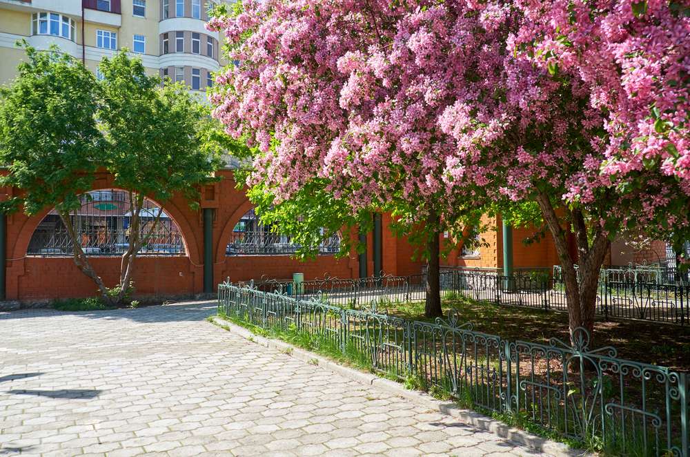 Plan a Trip to Yekaterinburgskiy Zoopark