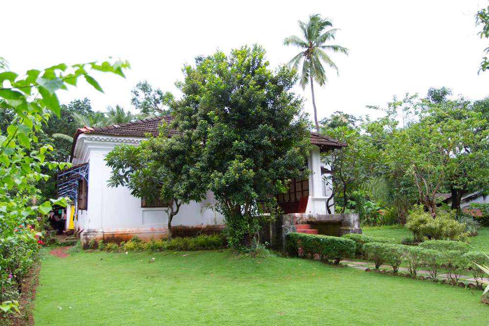 The Only Olive Villa