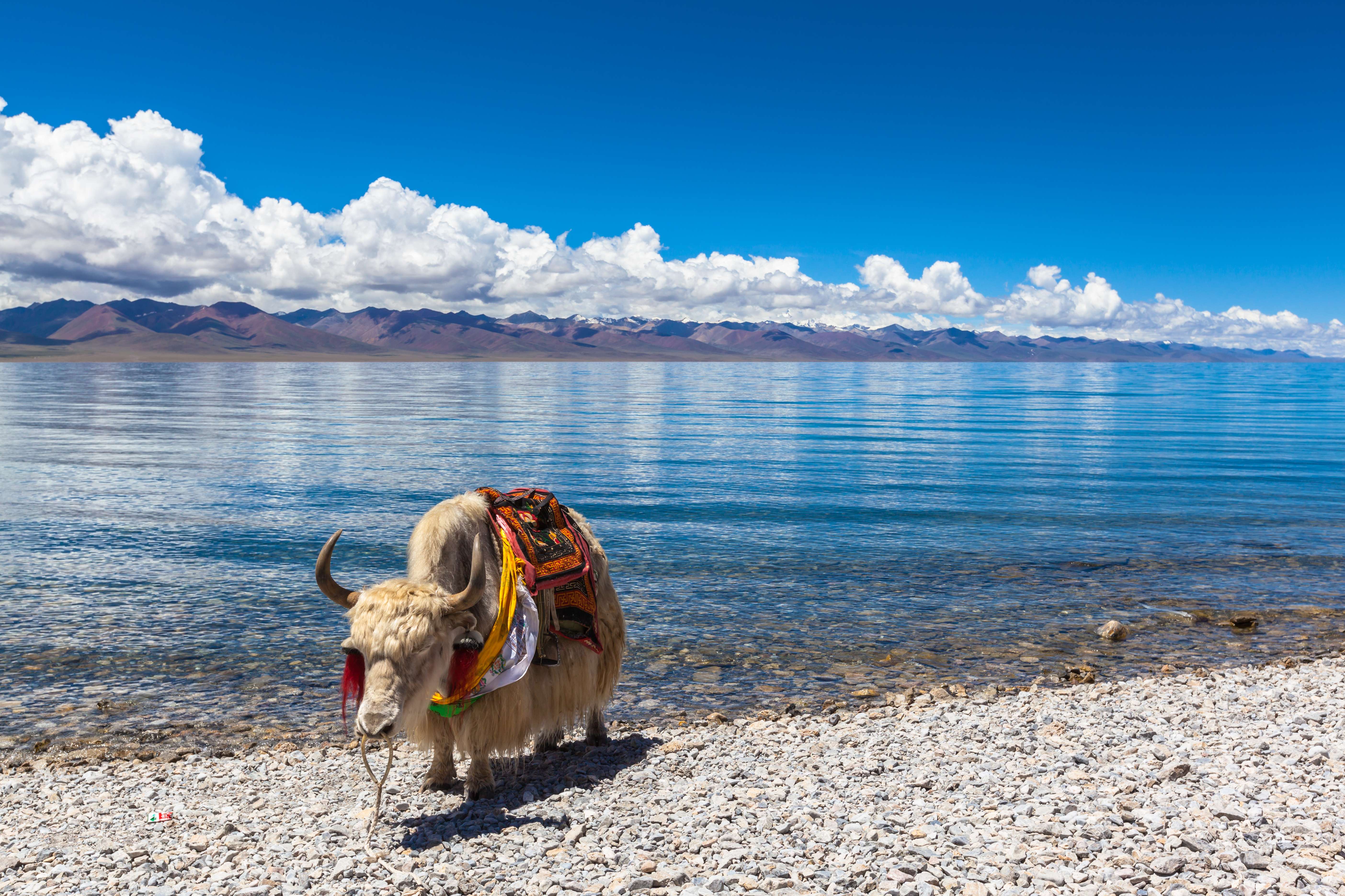 Namtso Lake