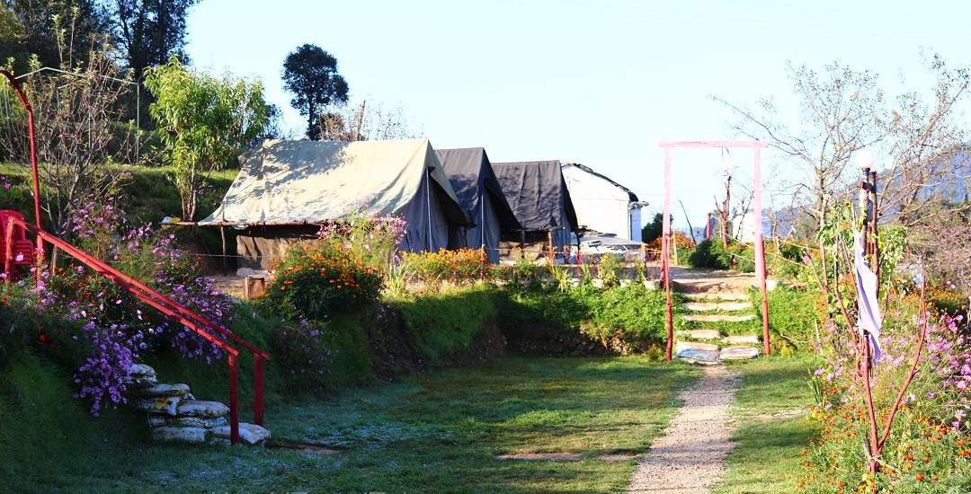 The Kanatal Orchids Camp