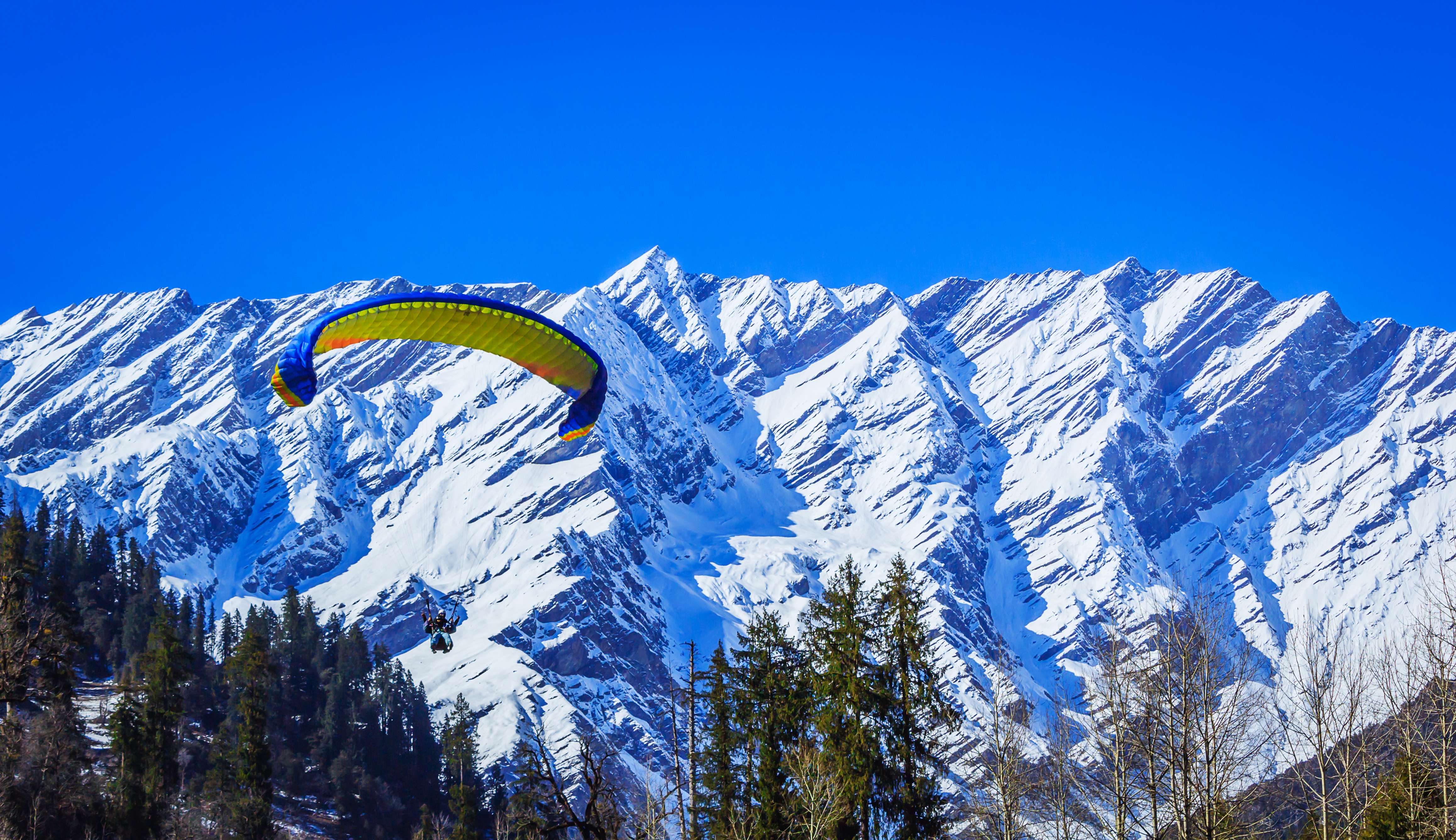 Essential Information About Paragliding in Solang Valley