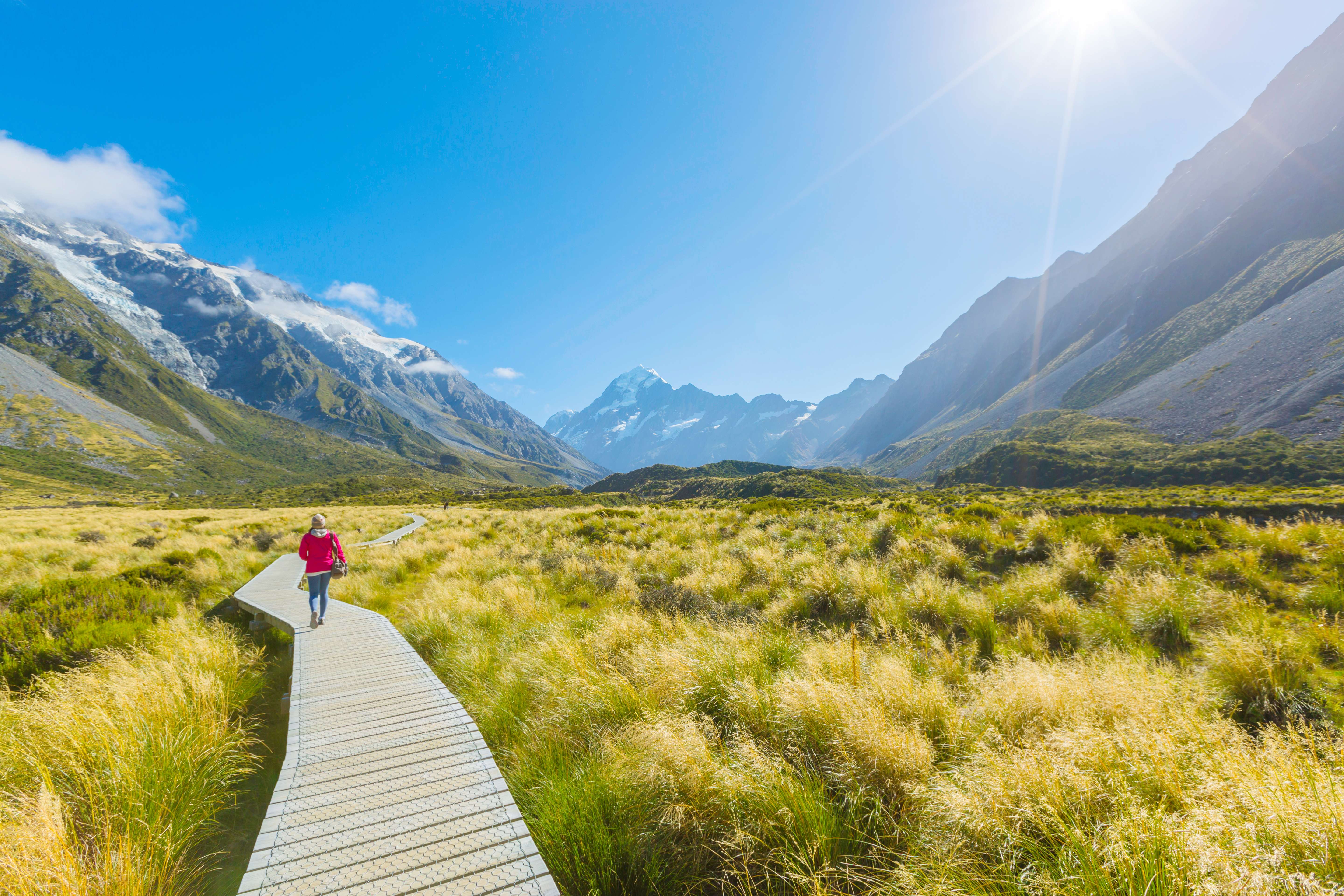 Hike to Mt. Cook