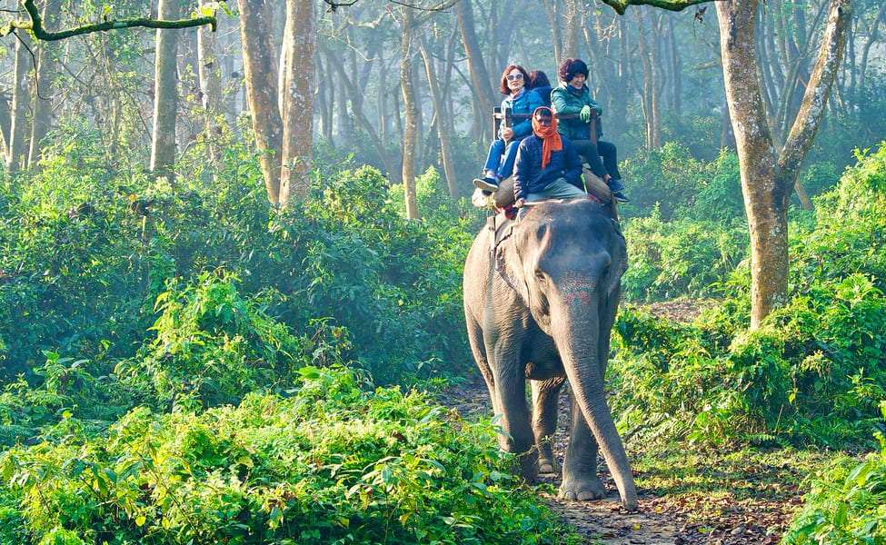 Valmiki Nagar Elephant Safari
