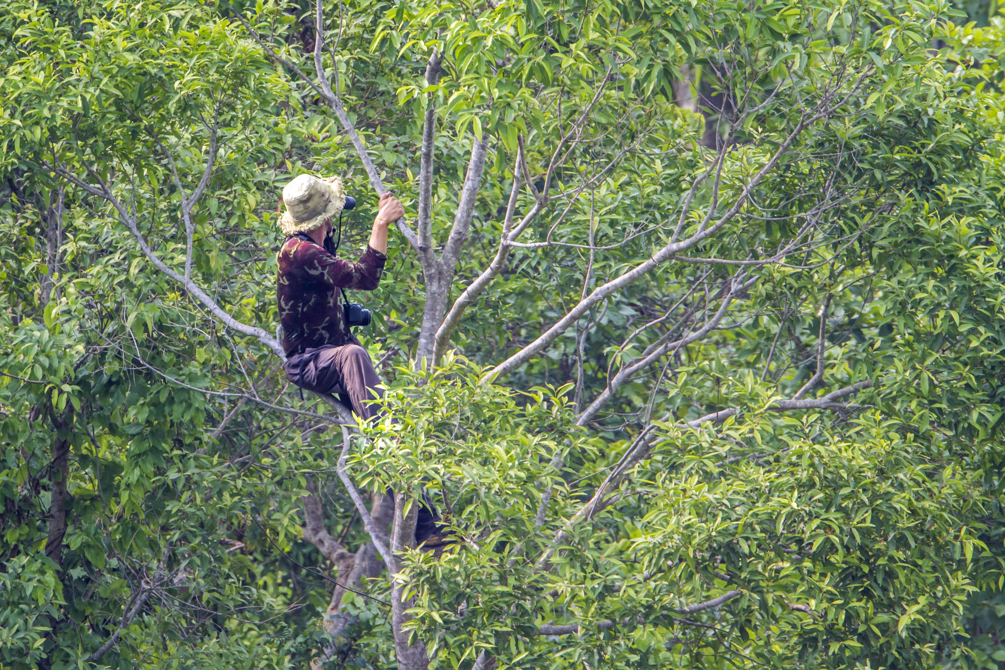 Bird Watching at Lalbhitiya