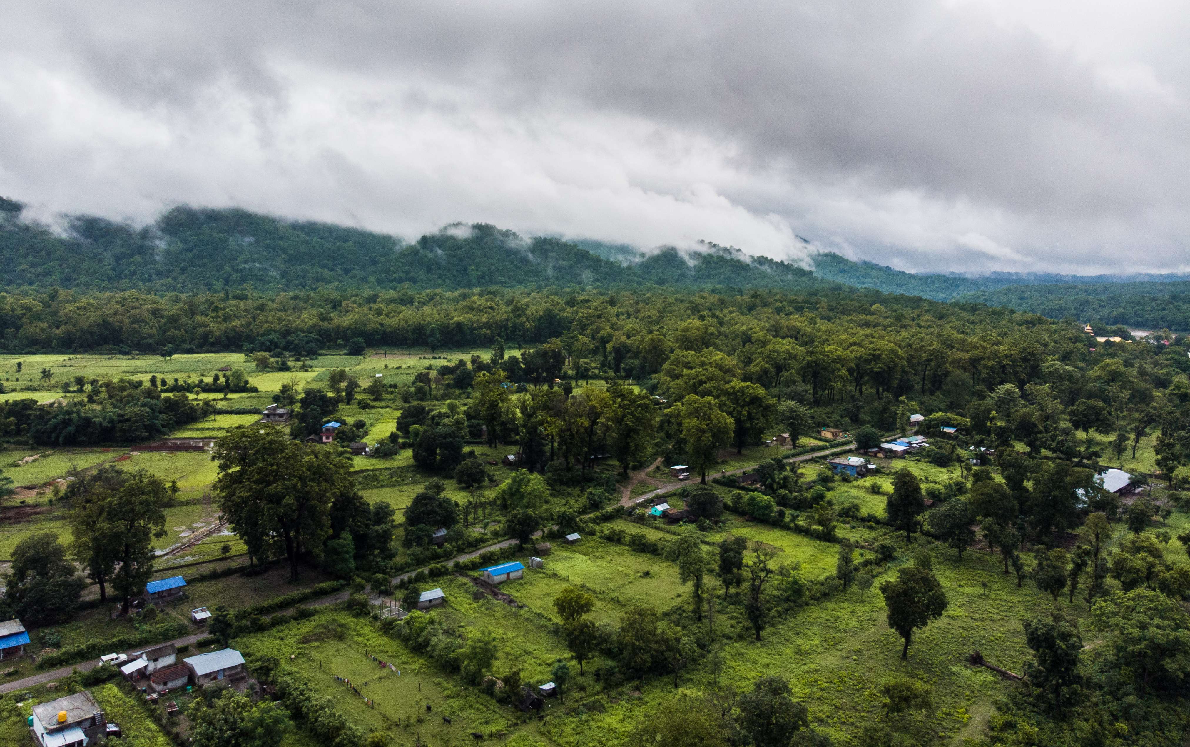 15 Experiences and Things to Do in Valmiki Nagar Tiger Reserve