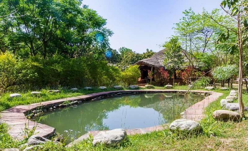 Camp Hornbill Corbett