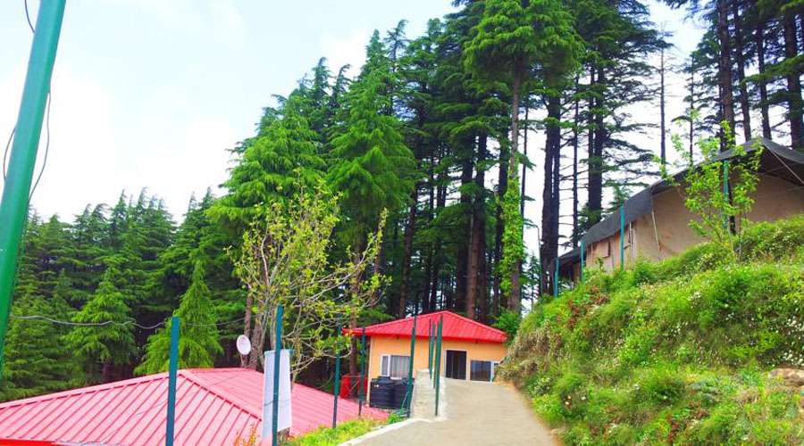 Camp Wildex, Kanatal
