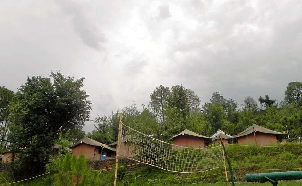 Chrysalid Camp, Shimla