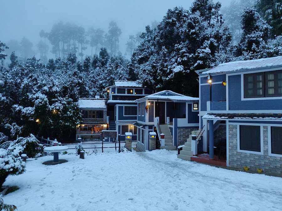 Binsar Camp Almora
