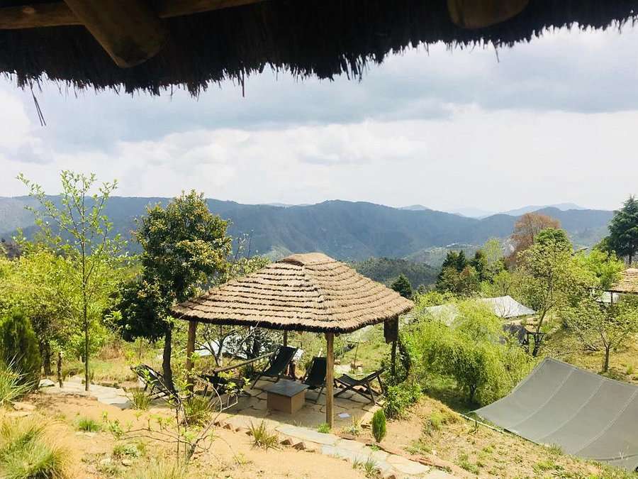 Camp Purple, Mukteshwar