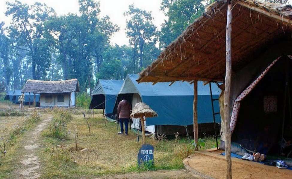 Camp Kyari, Nainital