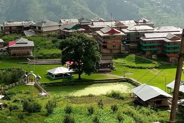 Tirthan Travel Nest Homestay