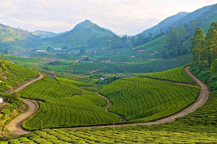 Meghamalai Peak Trek