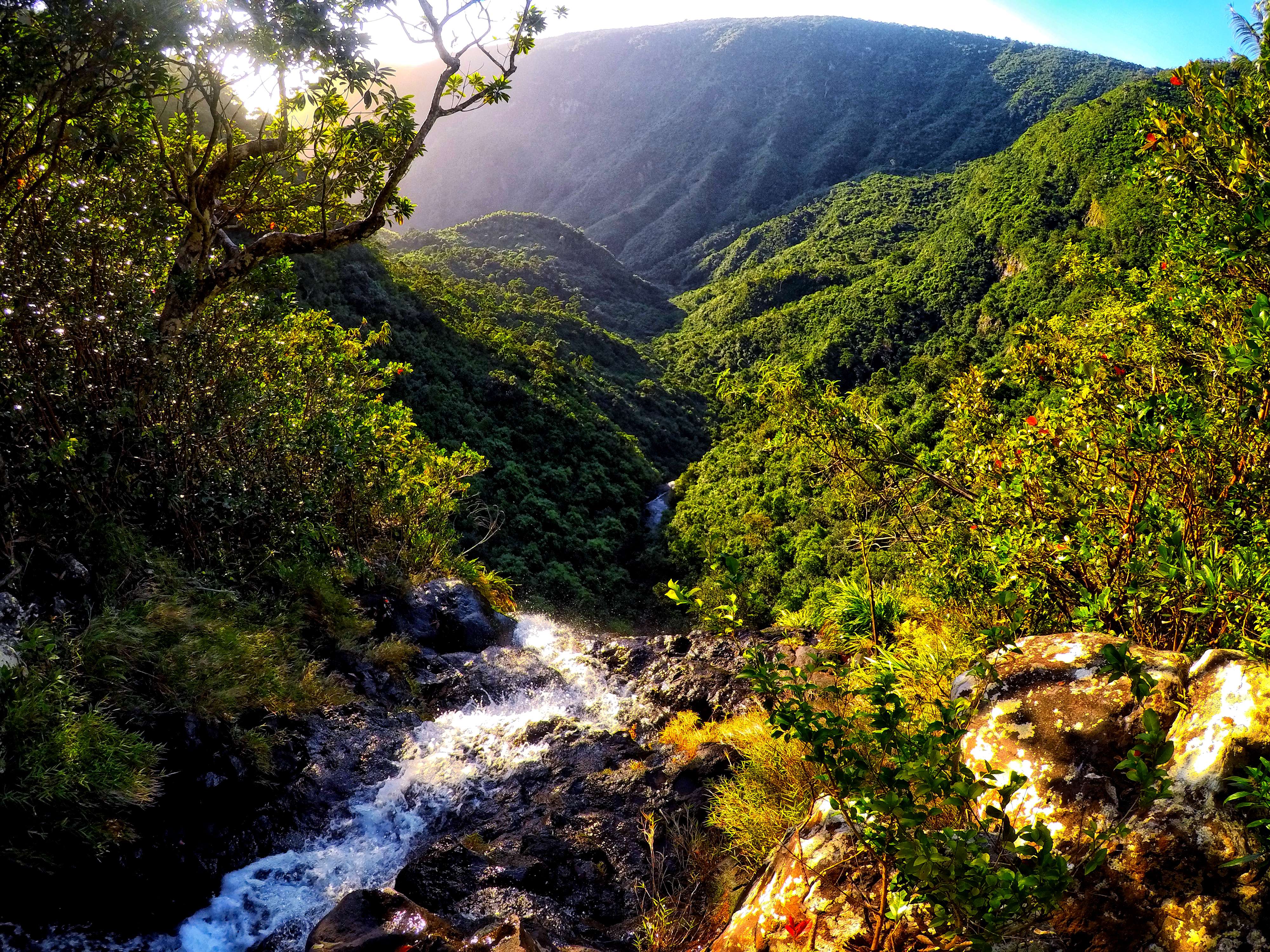 Visit Black River Gorges National Park