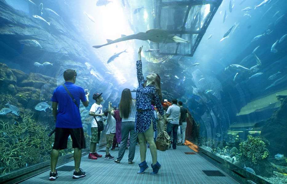  Dubai Aquarium & Underwater Zoo