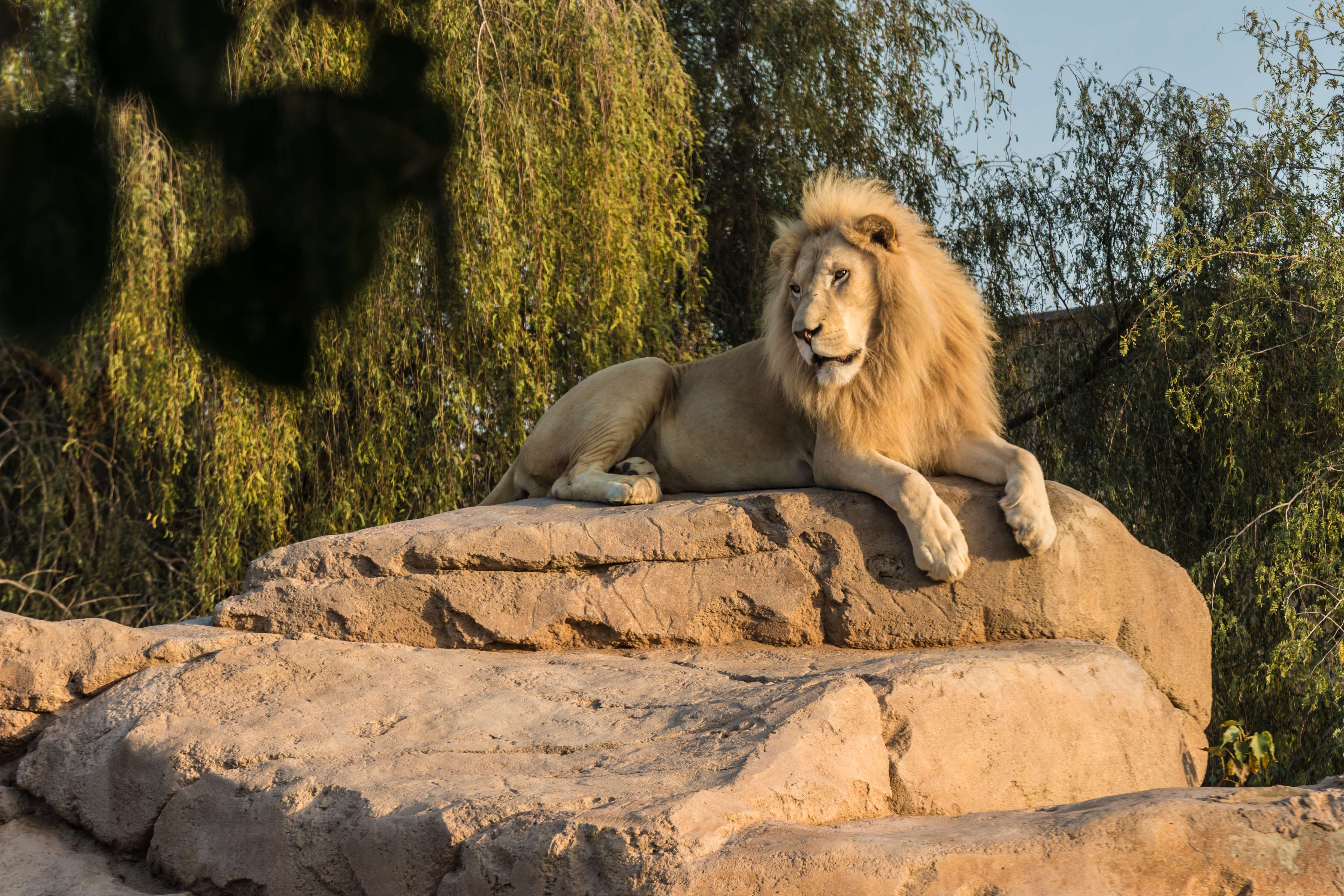 Al- Ain Zoo, Al-Ain