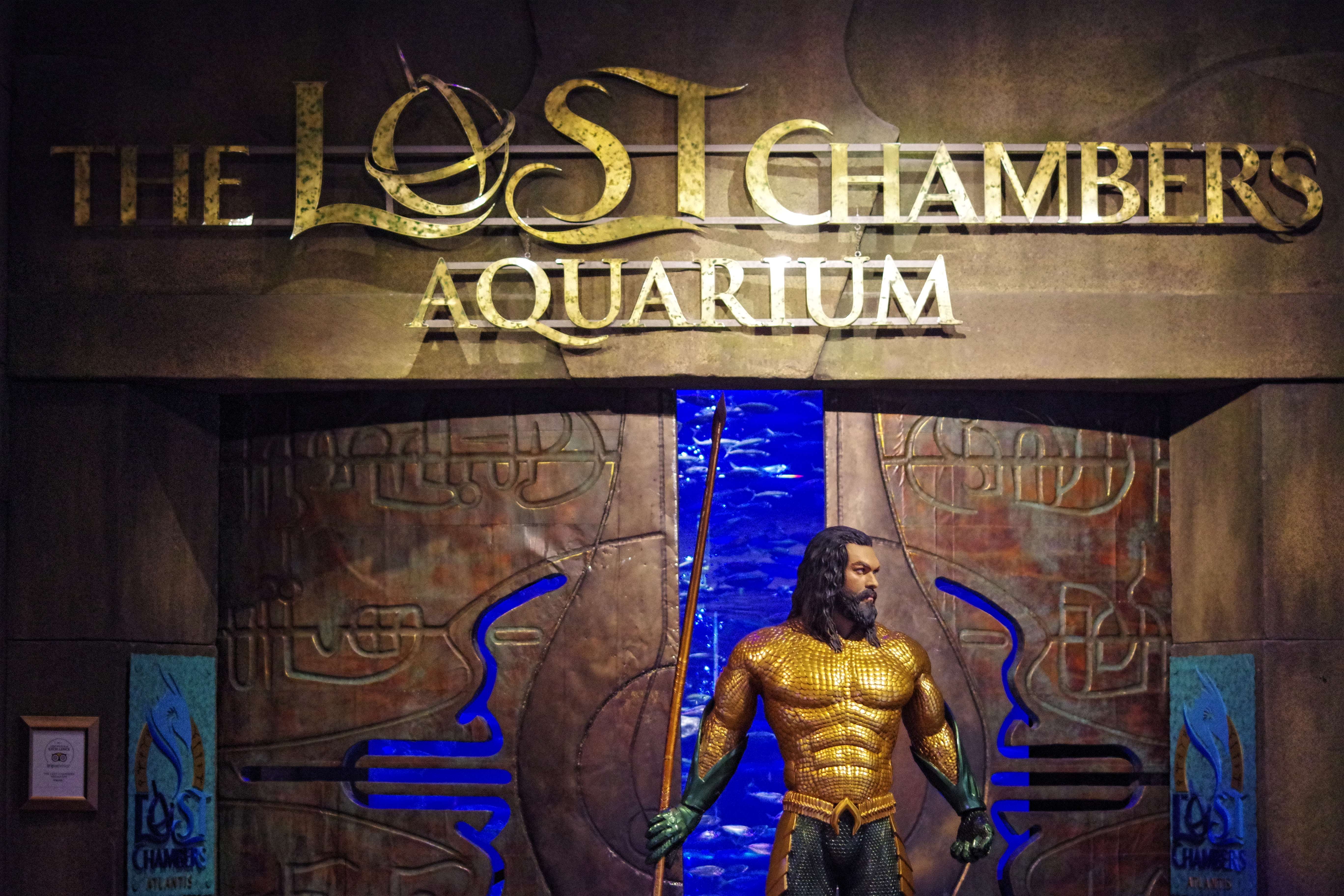 Explore the Marine life at Lost Chambers Aquarium