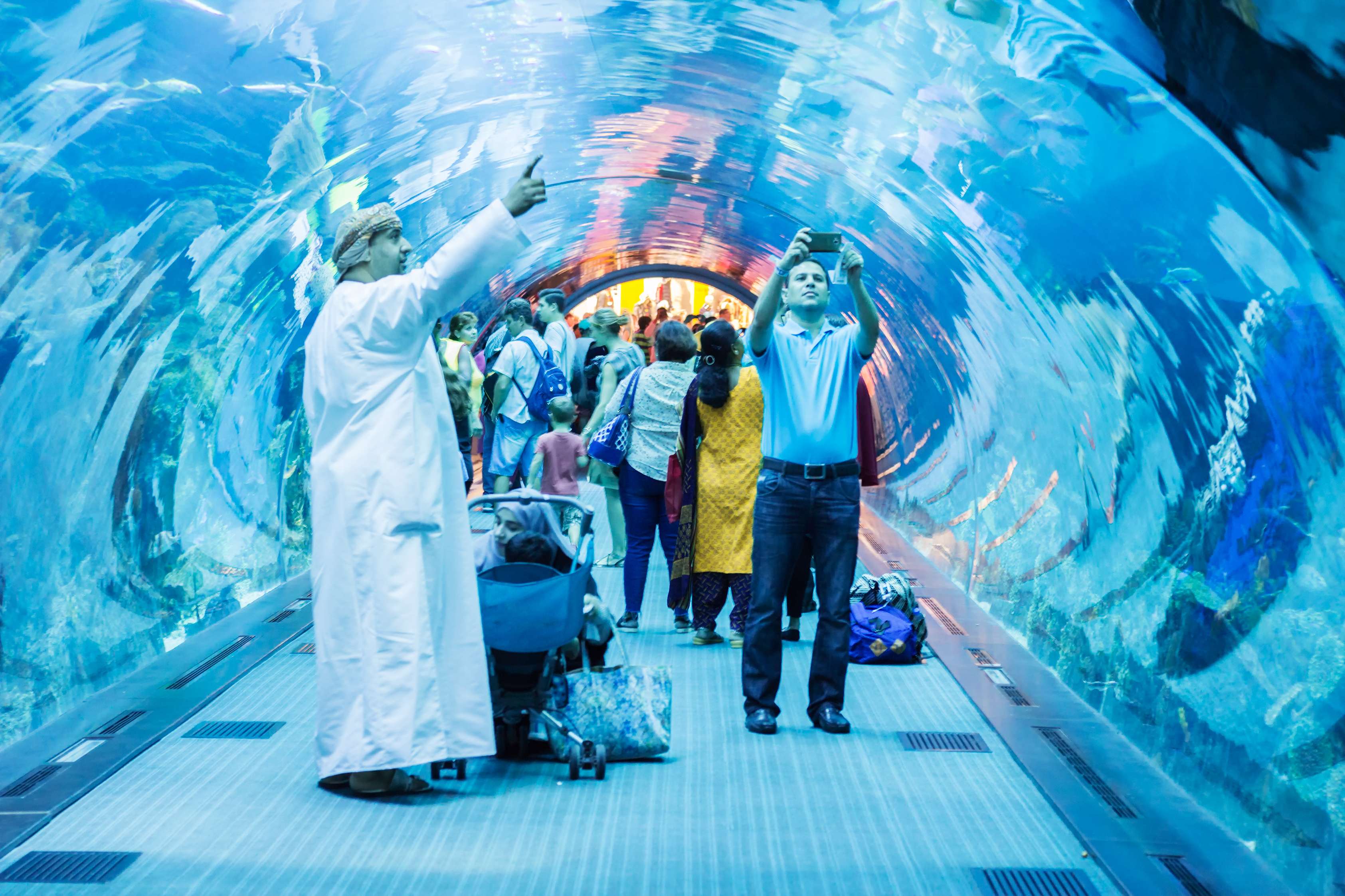 Visit Dubai Aquarium and Underwater Zoo