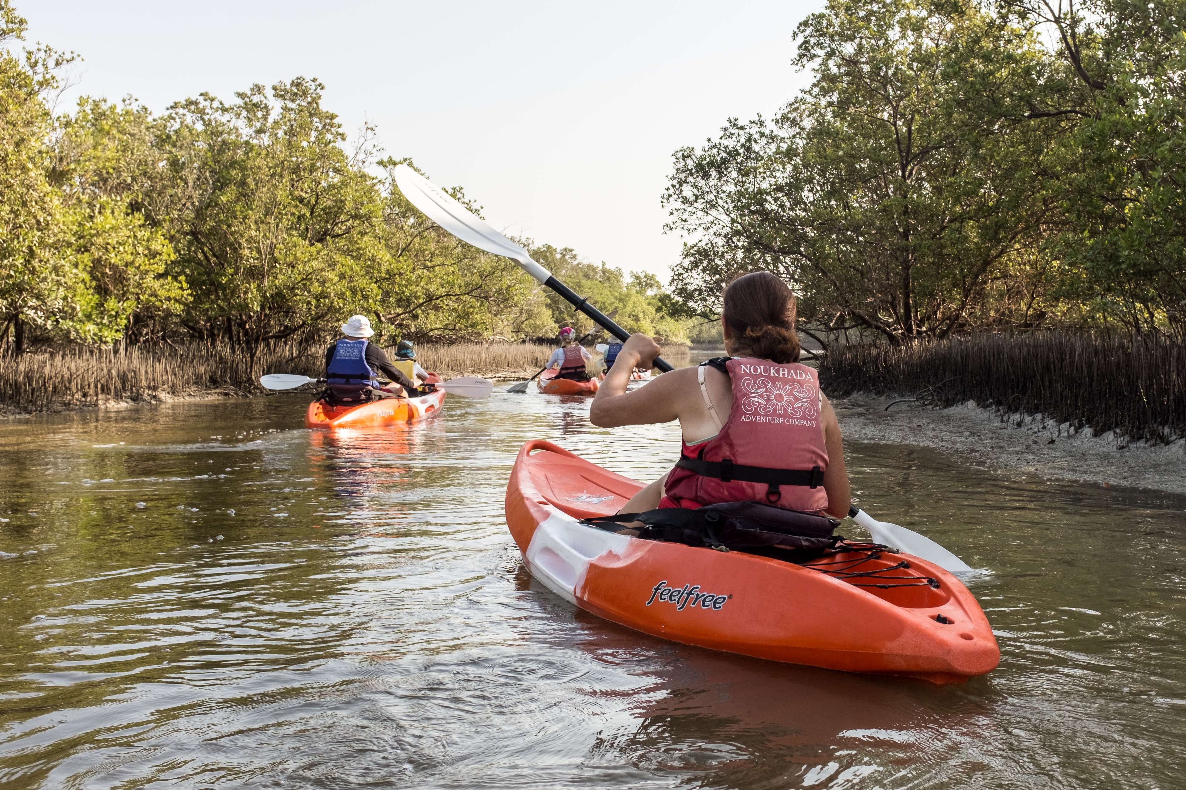 Mangrove National Park