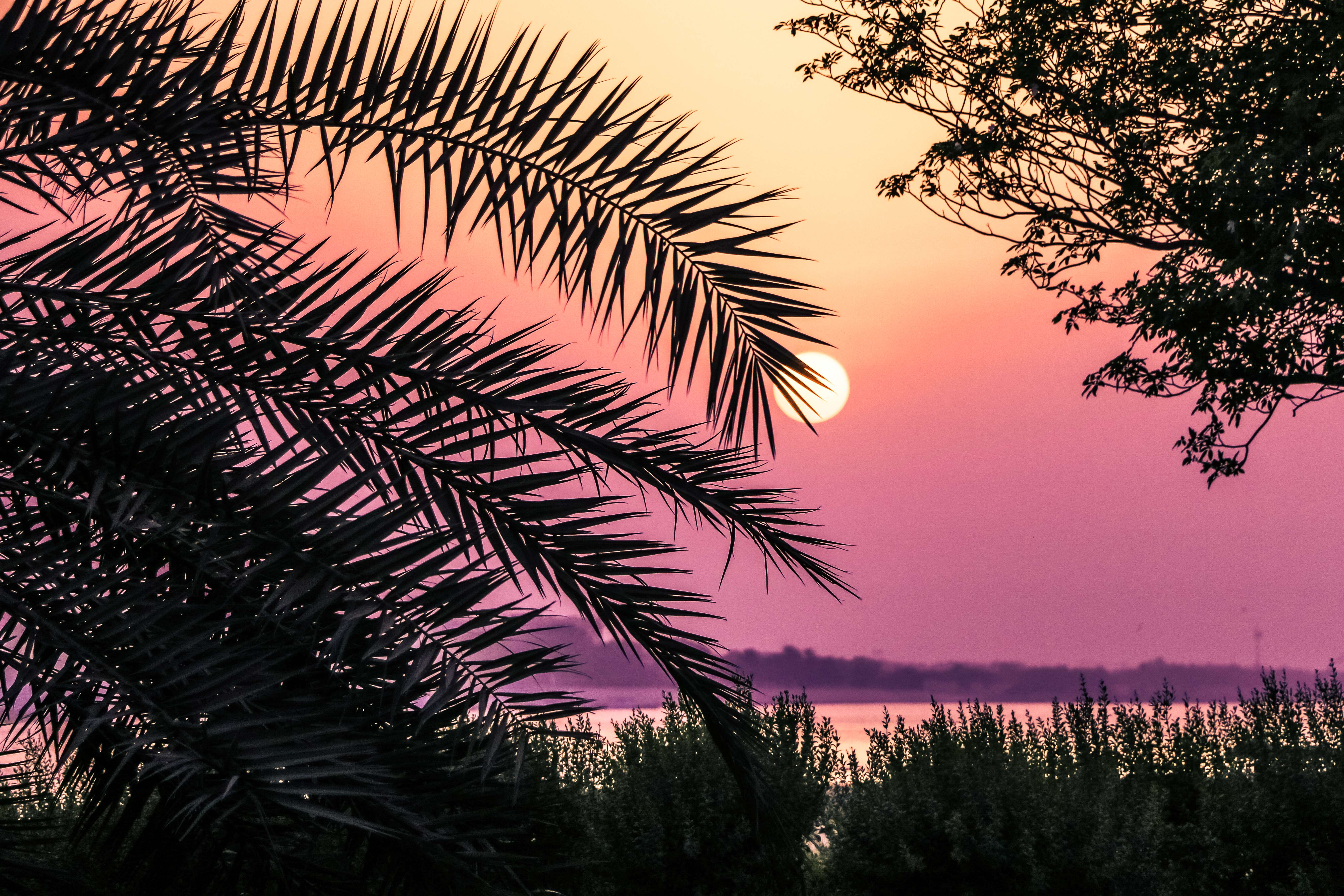 Al Khaleej Al Arabi Park