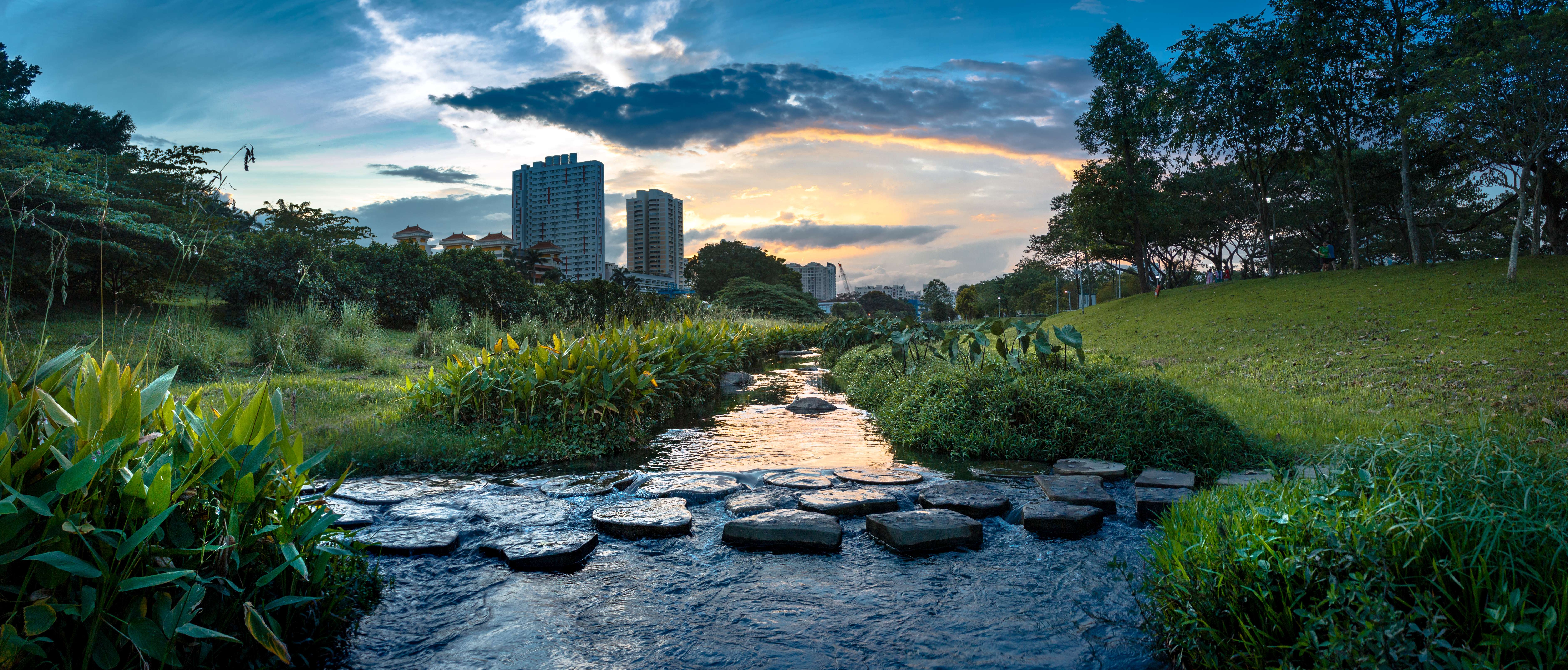 Bishan-Ang Mo Kio Park 