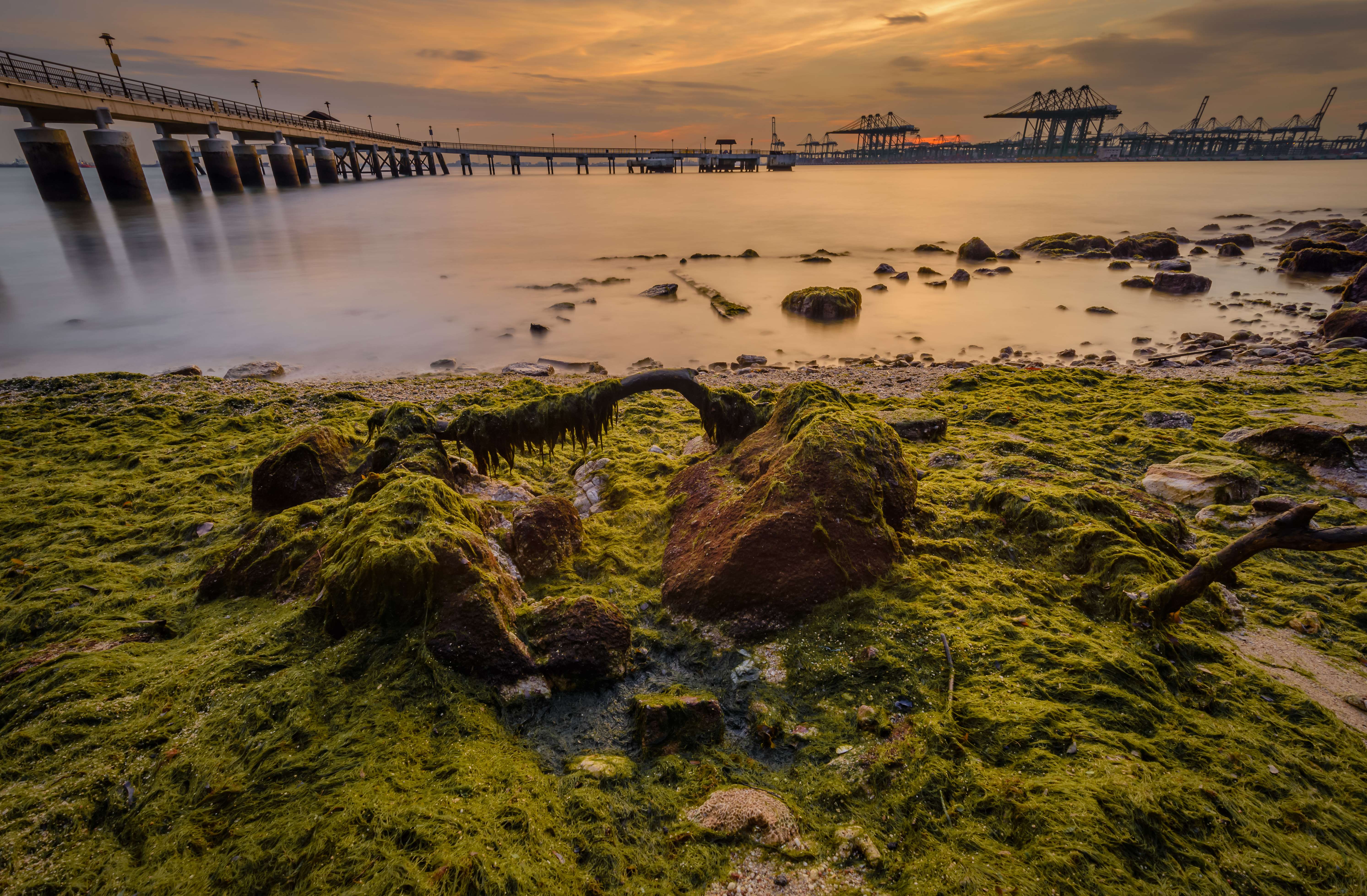 Labrador Nature Reserve