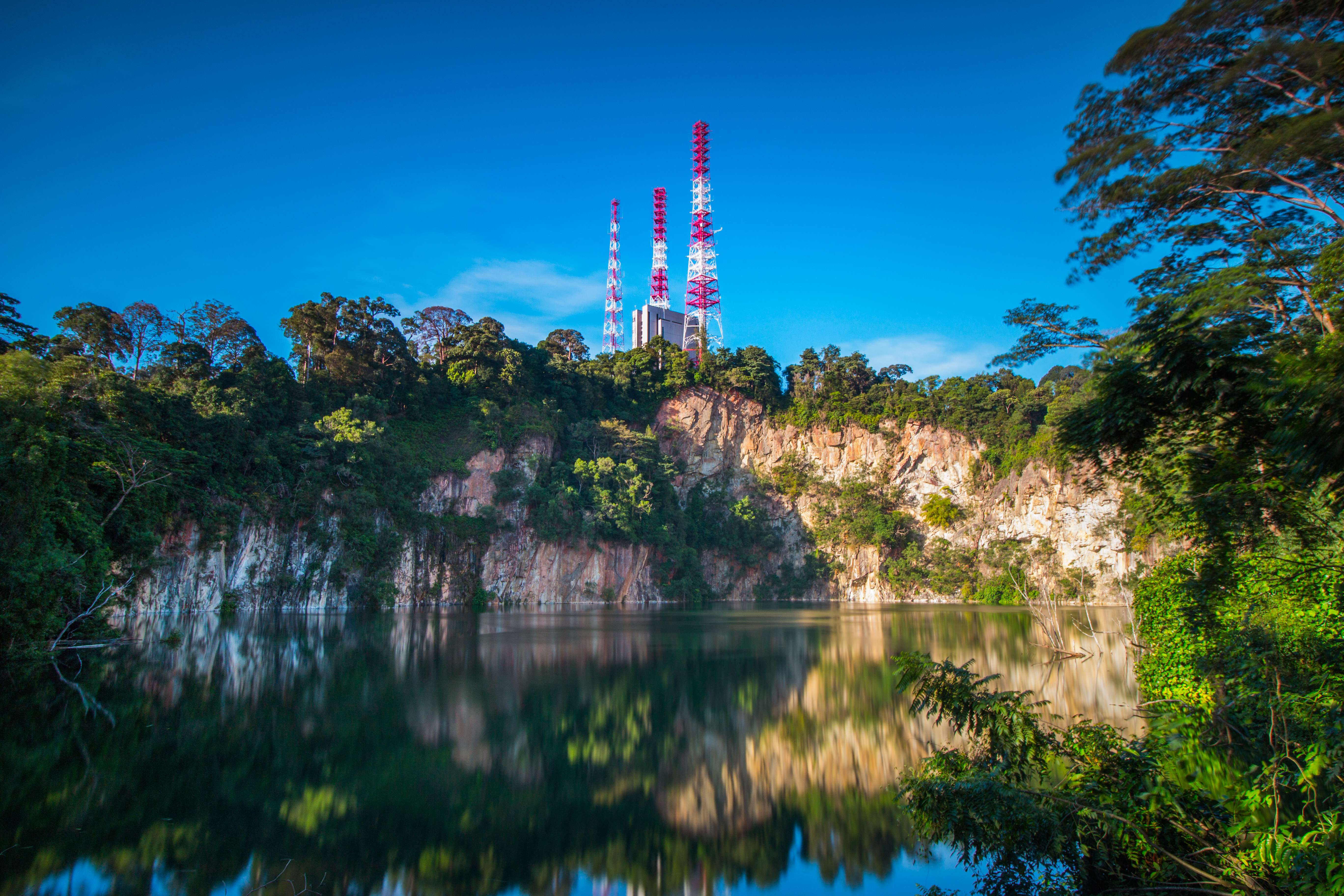 Bukit Timah Nature Reserve