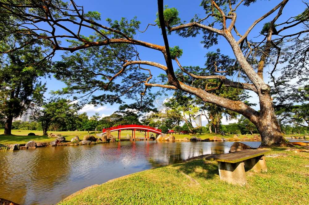 Chinese and Japanese Gardens