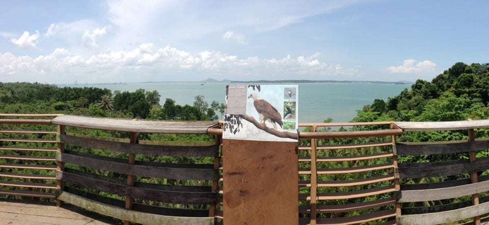 Climb Jejawi Tower for a Bird’s-Eye View