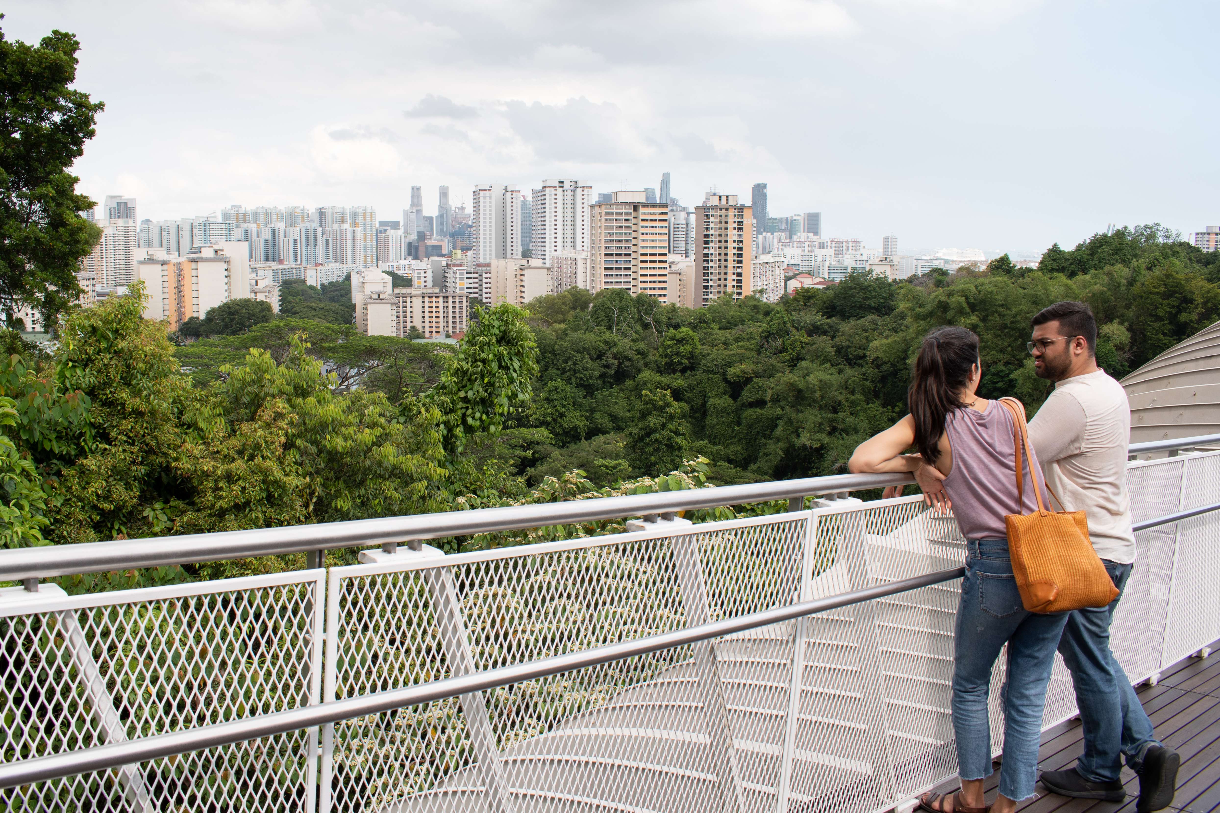 Mount Faber Park