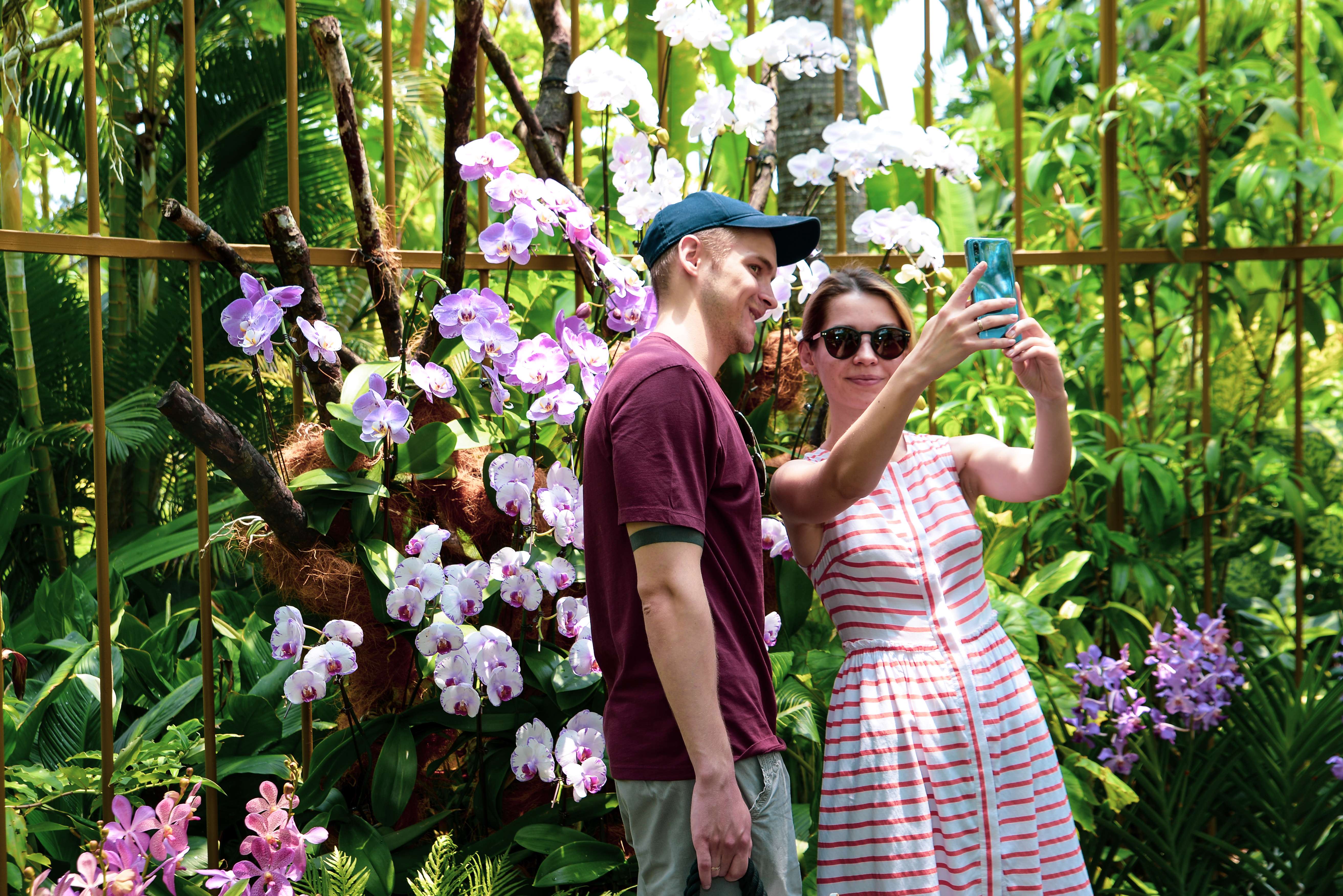 Singapore Botanic Gardens