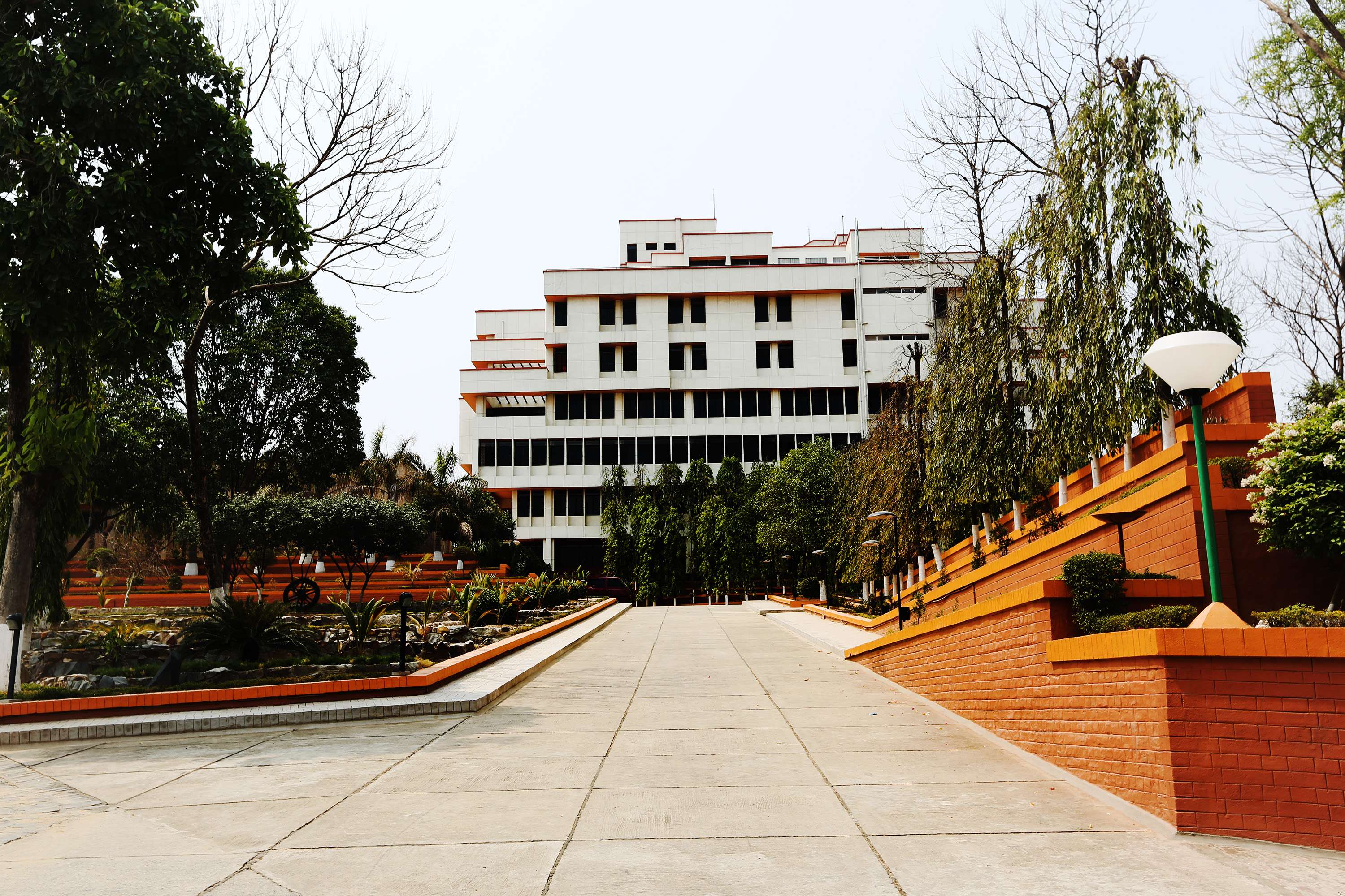 Bihar School Of Yoga