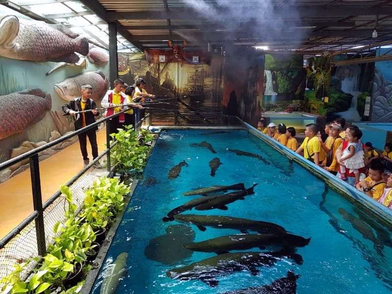Let Your Kids Enjoy at Monster Aquarium