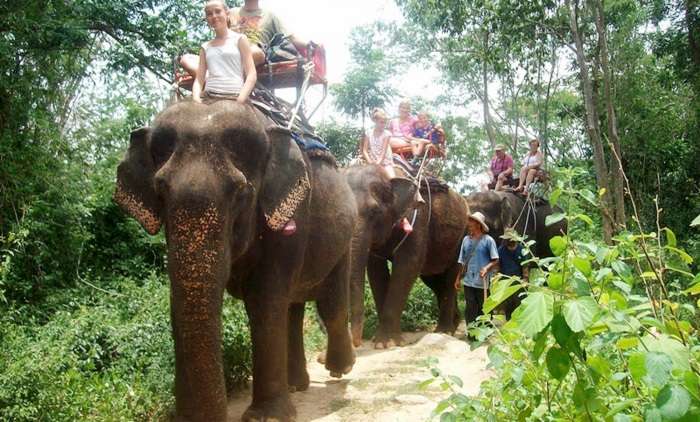 Pattaya Elephant Village