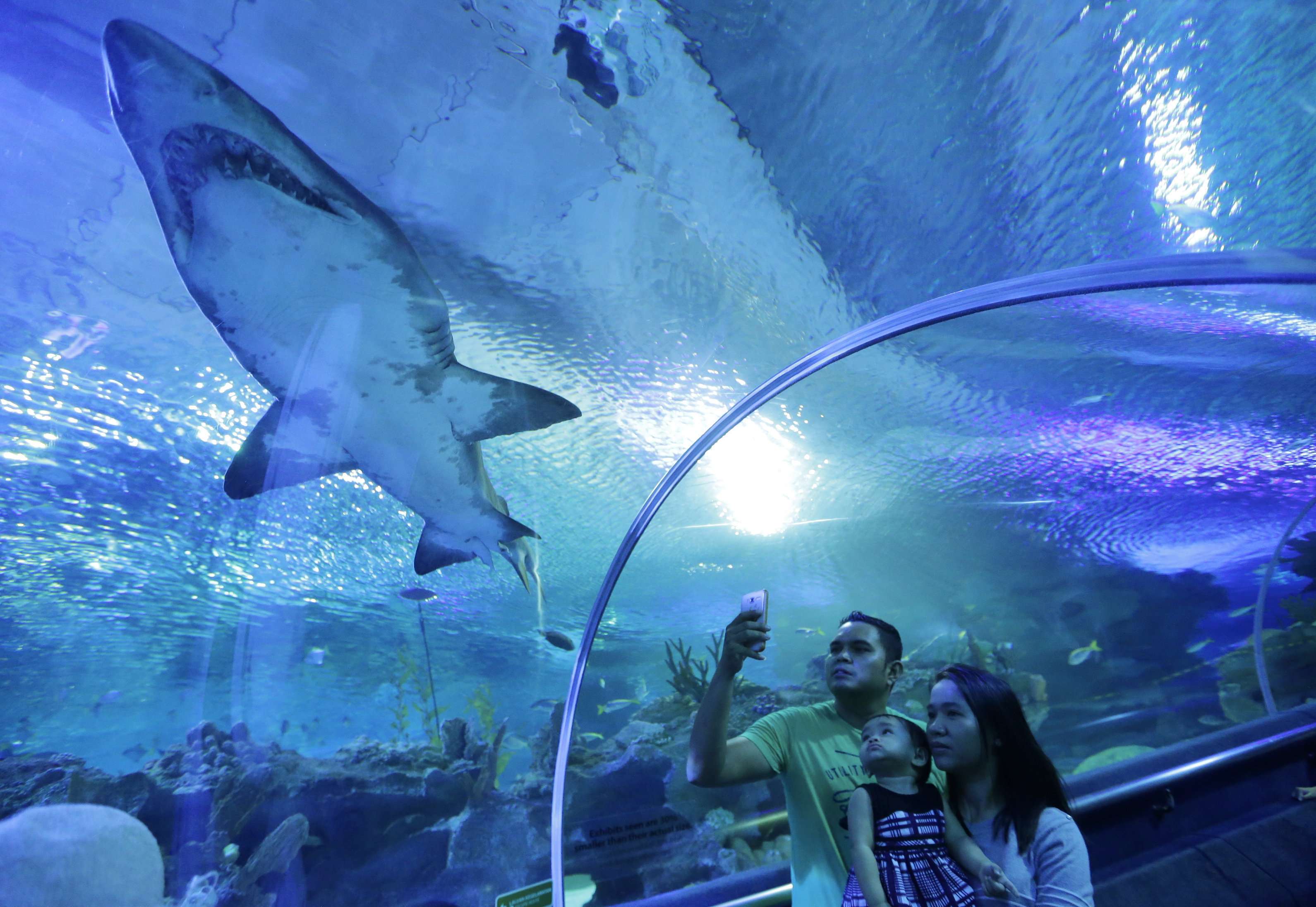 Enjoy at Aquaria Phuket 