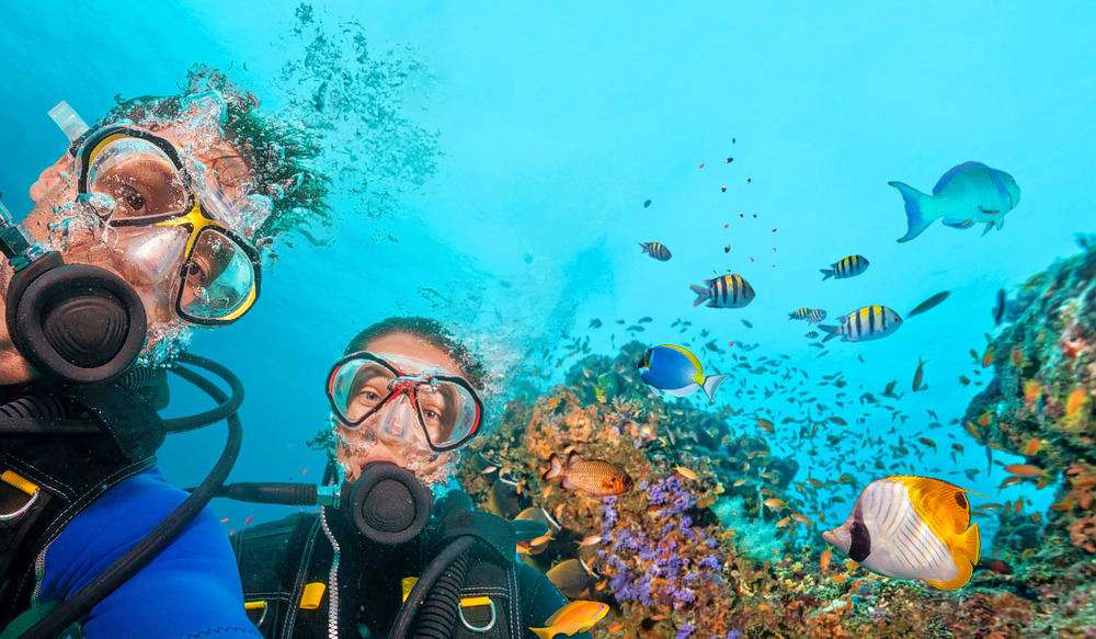Scuba Diving with Your Partner