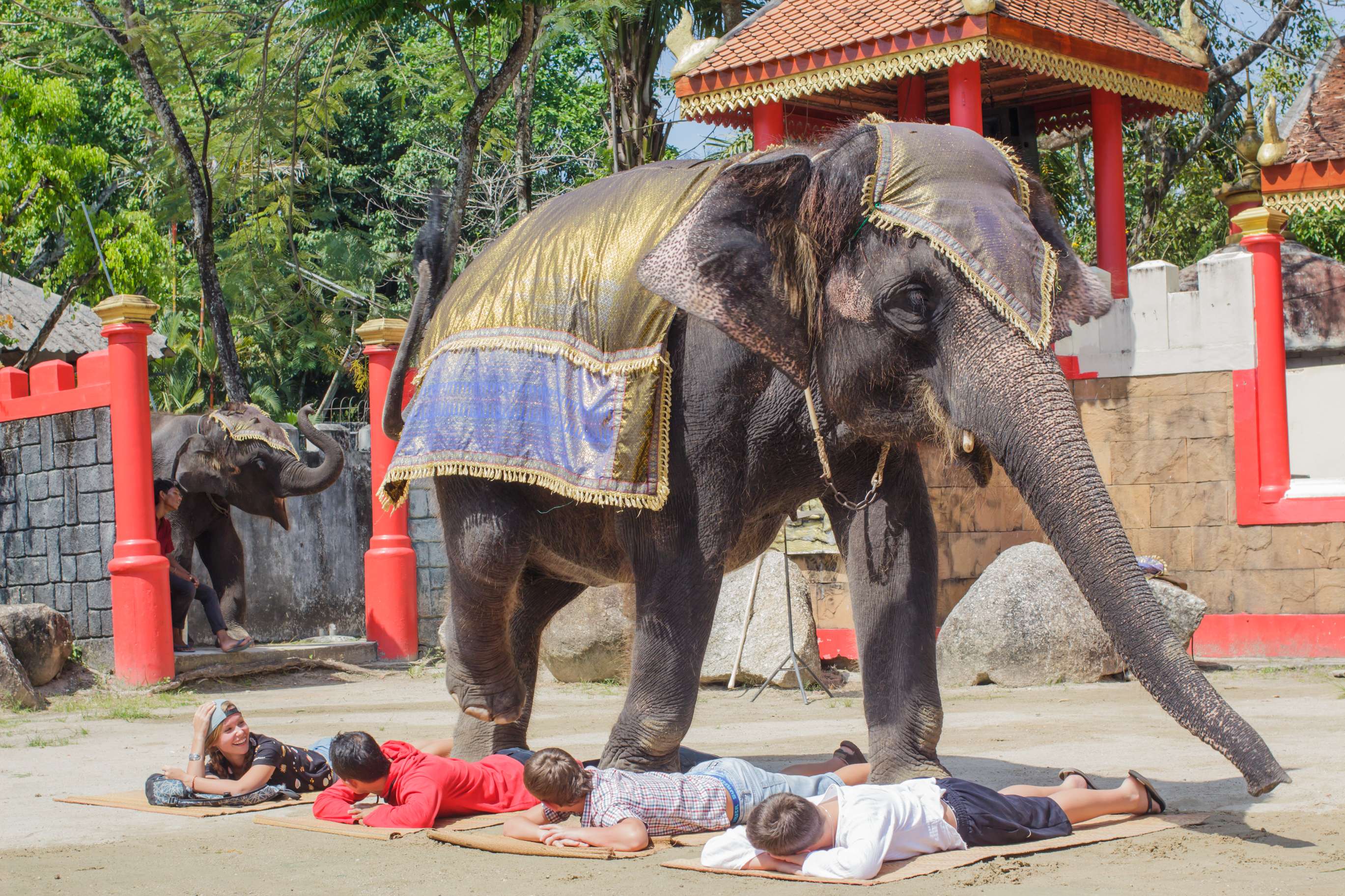 Have Fun at Phuket Zoo
