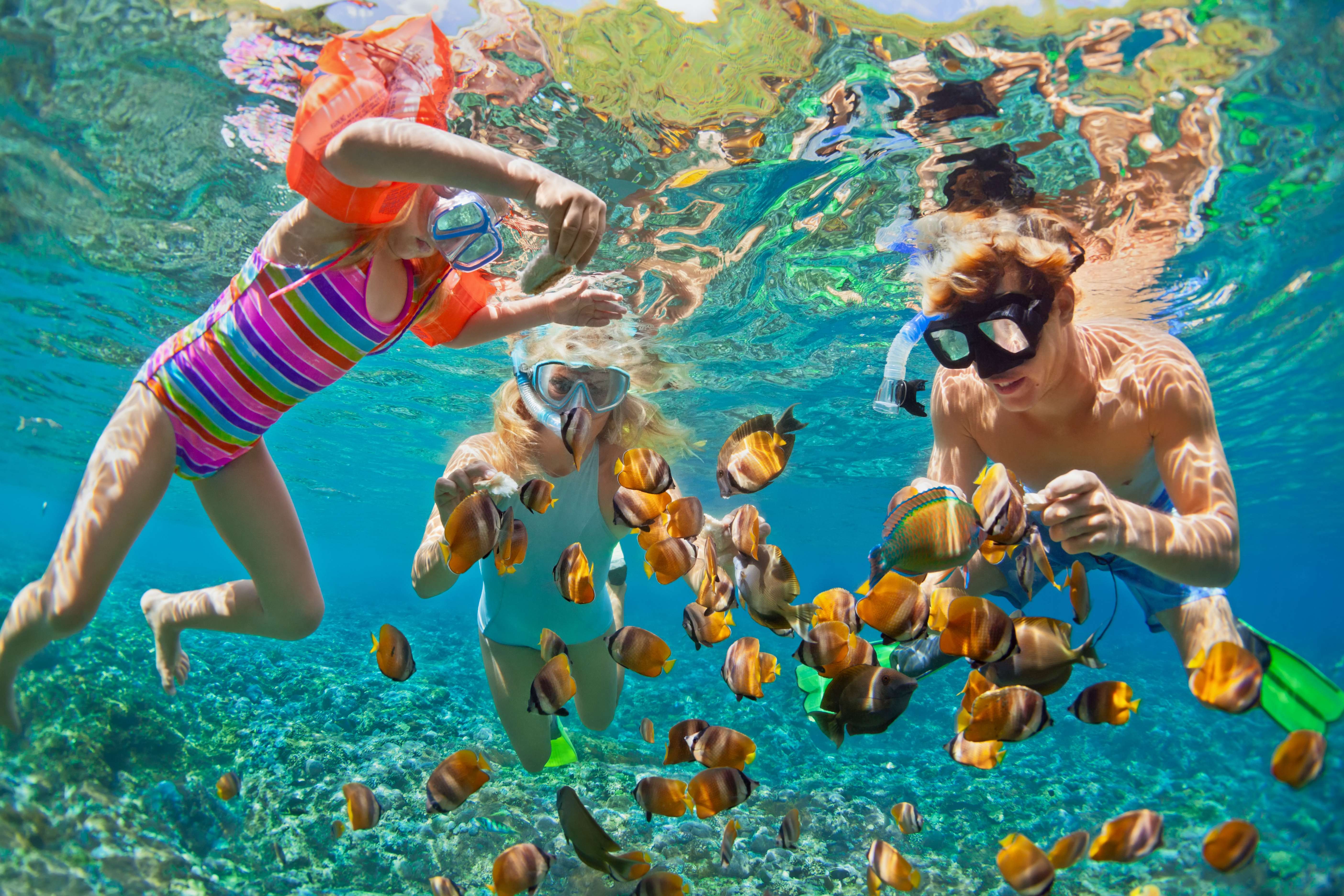 Explore the Magical Subaquatic World by Snorkelling