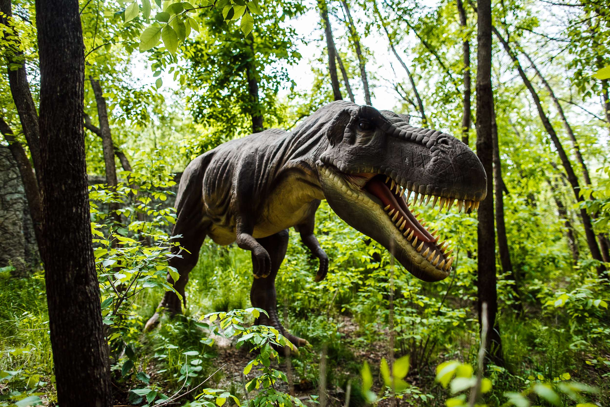 Meet the Prehistoric Animals at Dino Park Mini Golf