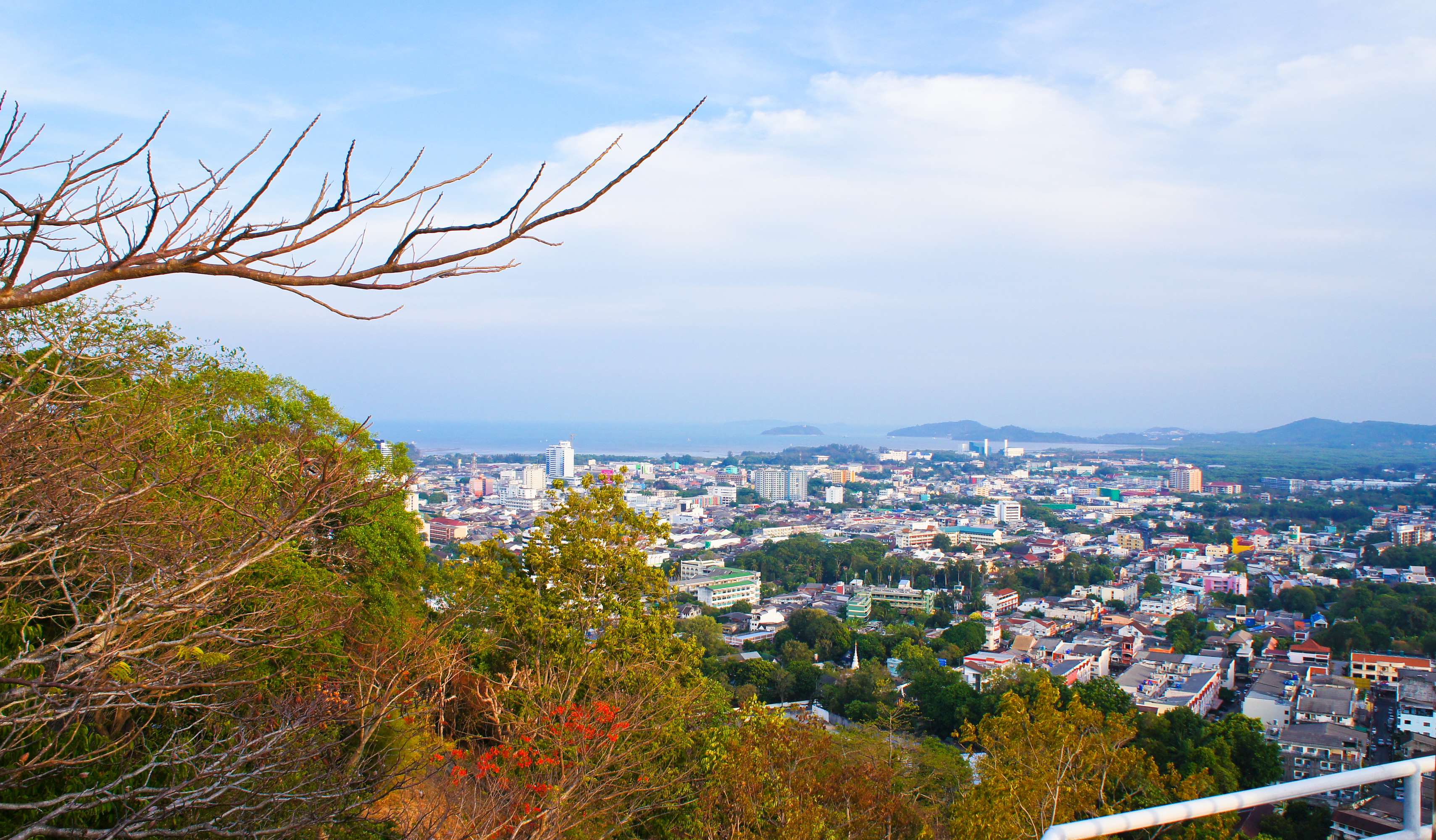 Witness the City from Rang Hill Viewpoint