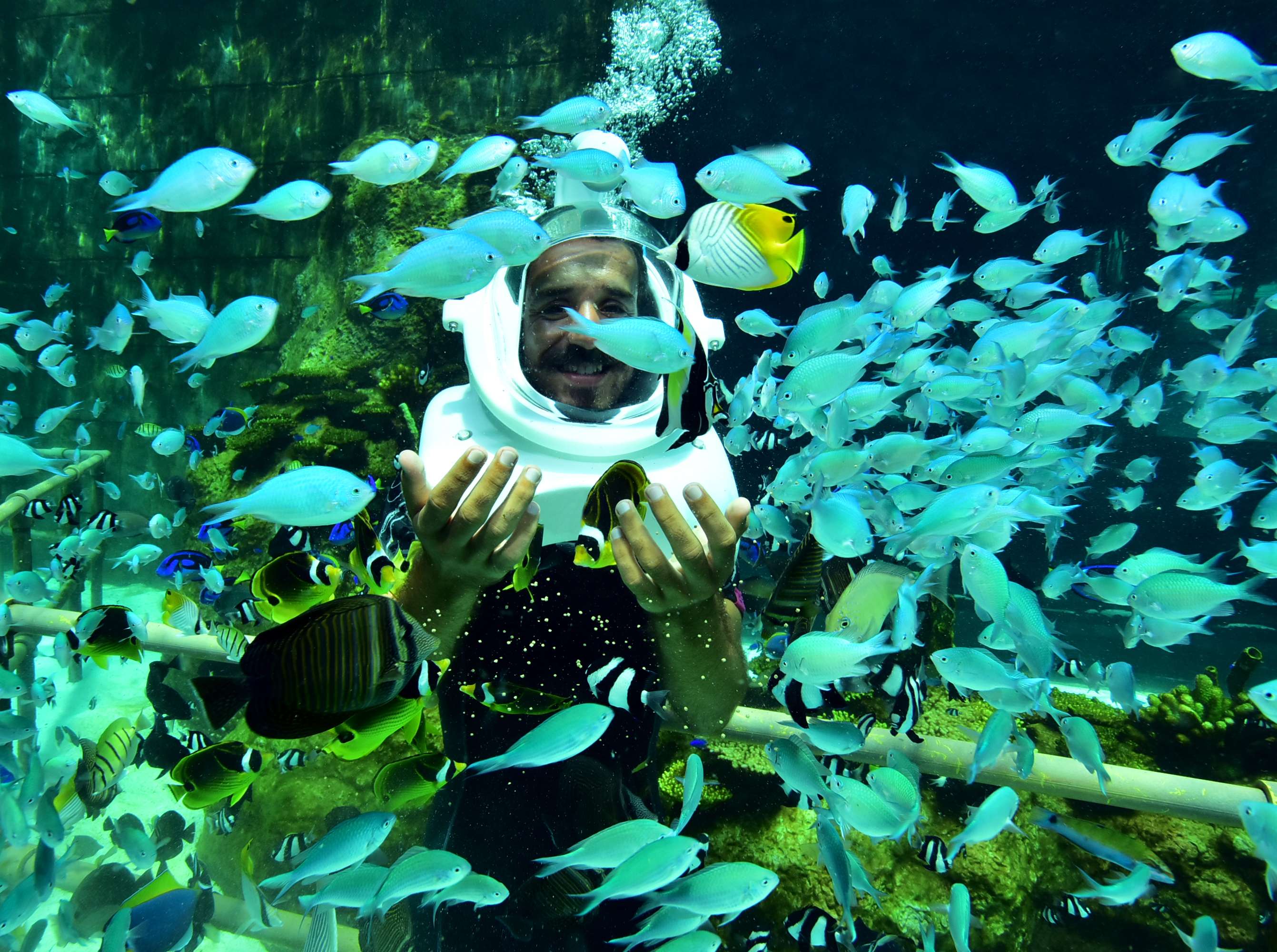 Experience the Thrill of Sea Walking