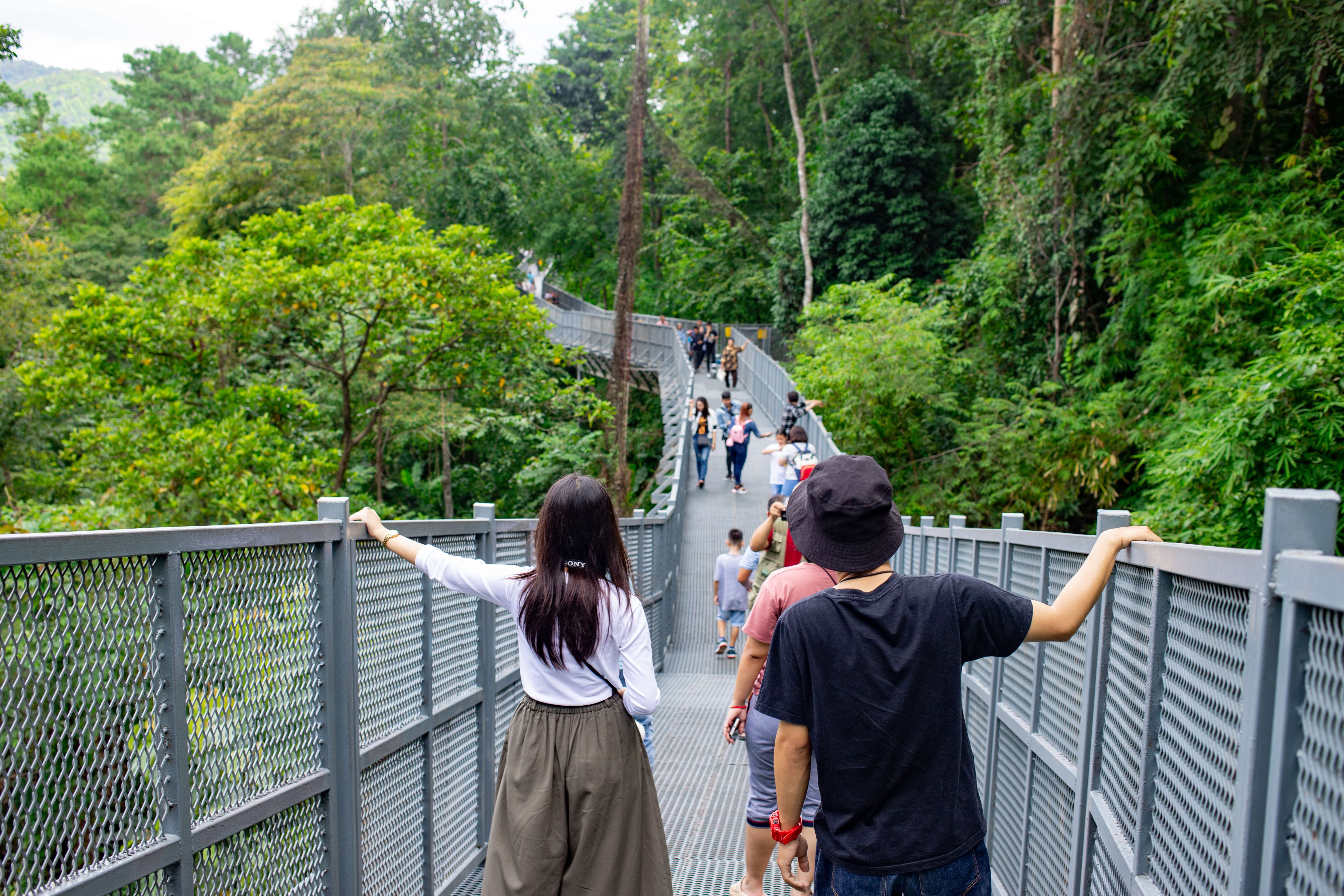 Canopy Walkway Chiang Mai