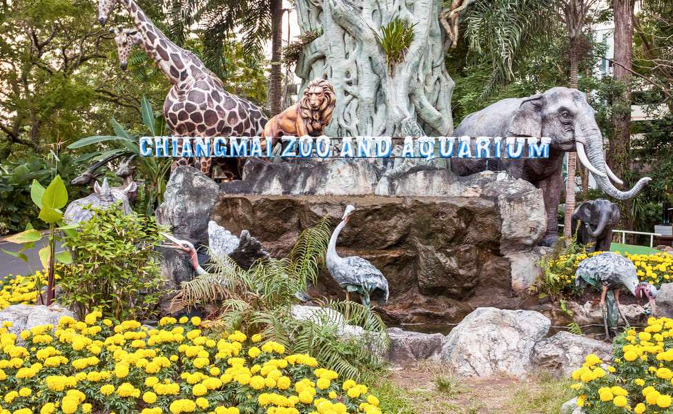 Chiang Mai Zoo exploration