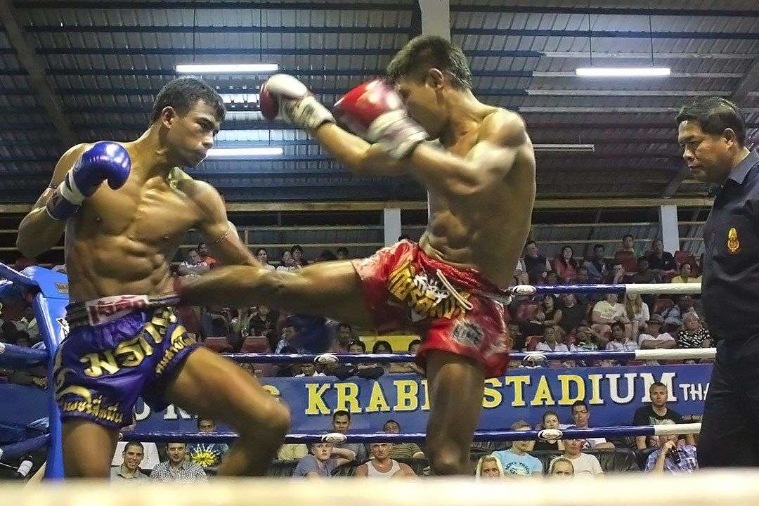 Watch Muay Thai Fight