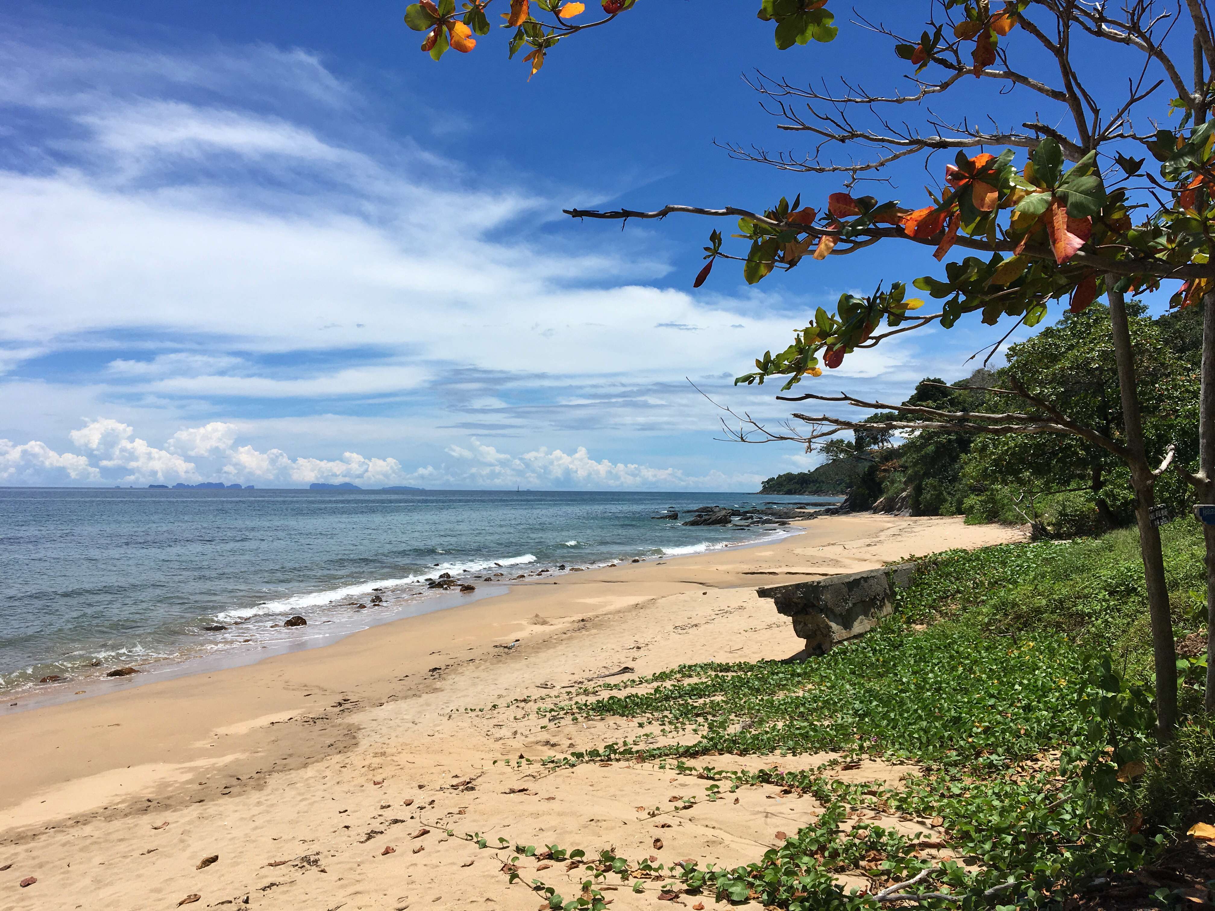 Stroll at Bamboo Bay