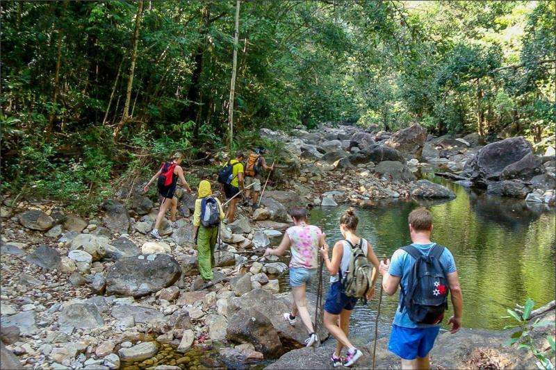 Hike Through the Jungle to Klong Jark Waterfall