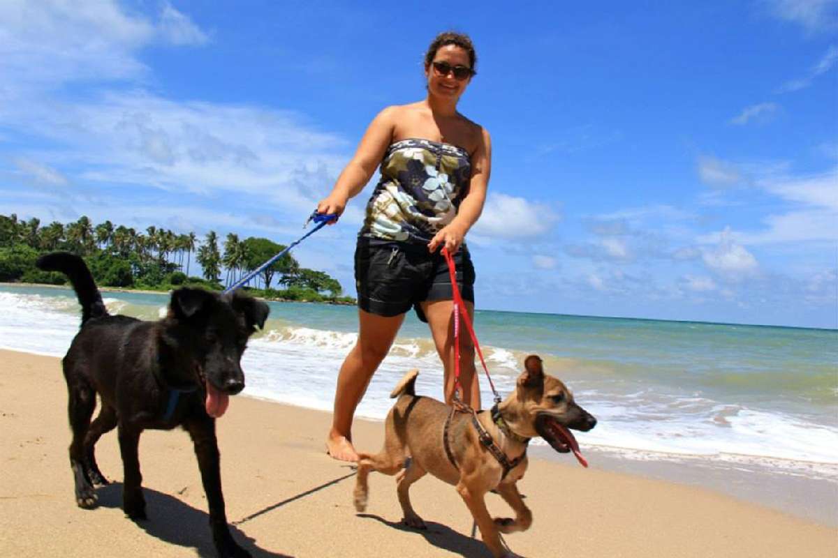 Visit Lanta Animal Welfare